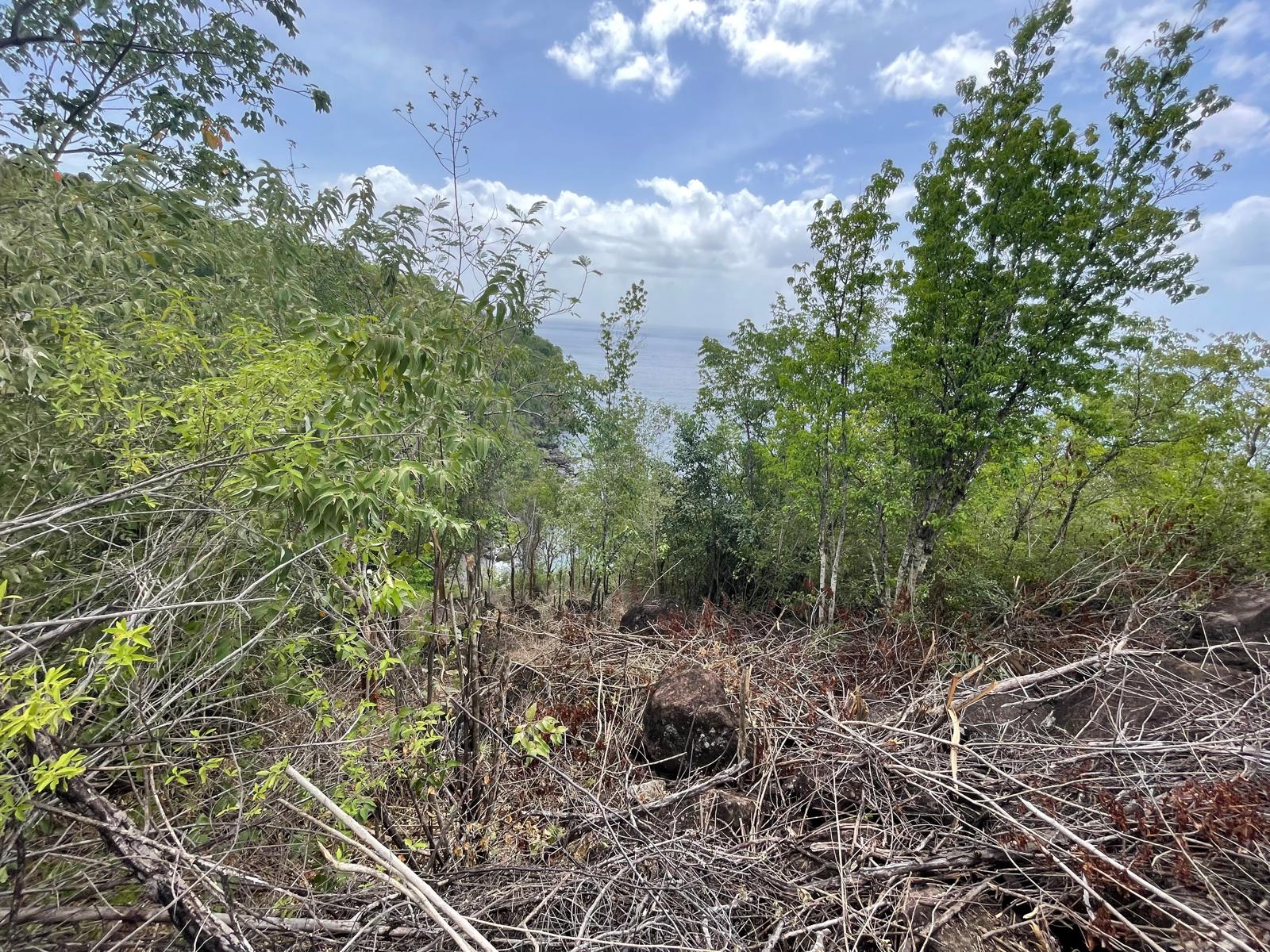 4.5 acres of ocean front property for sale in Colihaut, Dominica. – Inquire for price