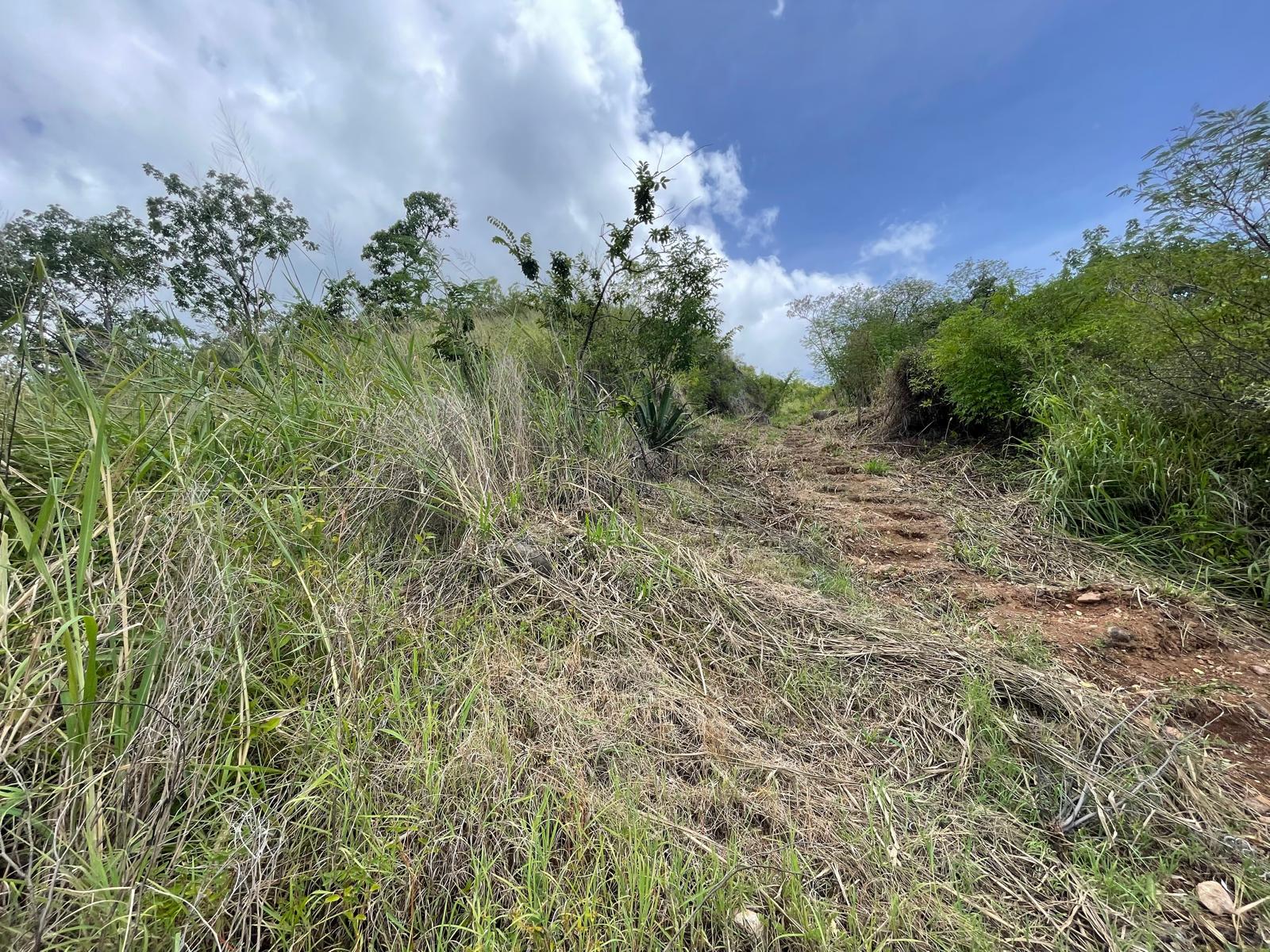 4.5 acres of ocean front property for sale in Colihaut, Dominica. – Inquire for price