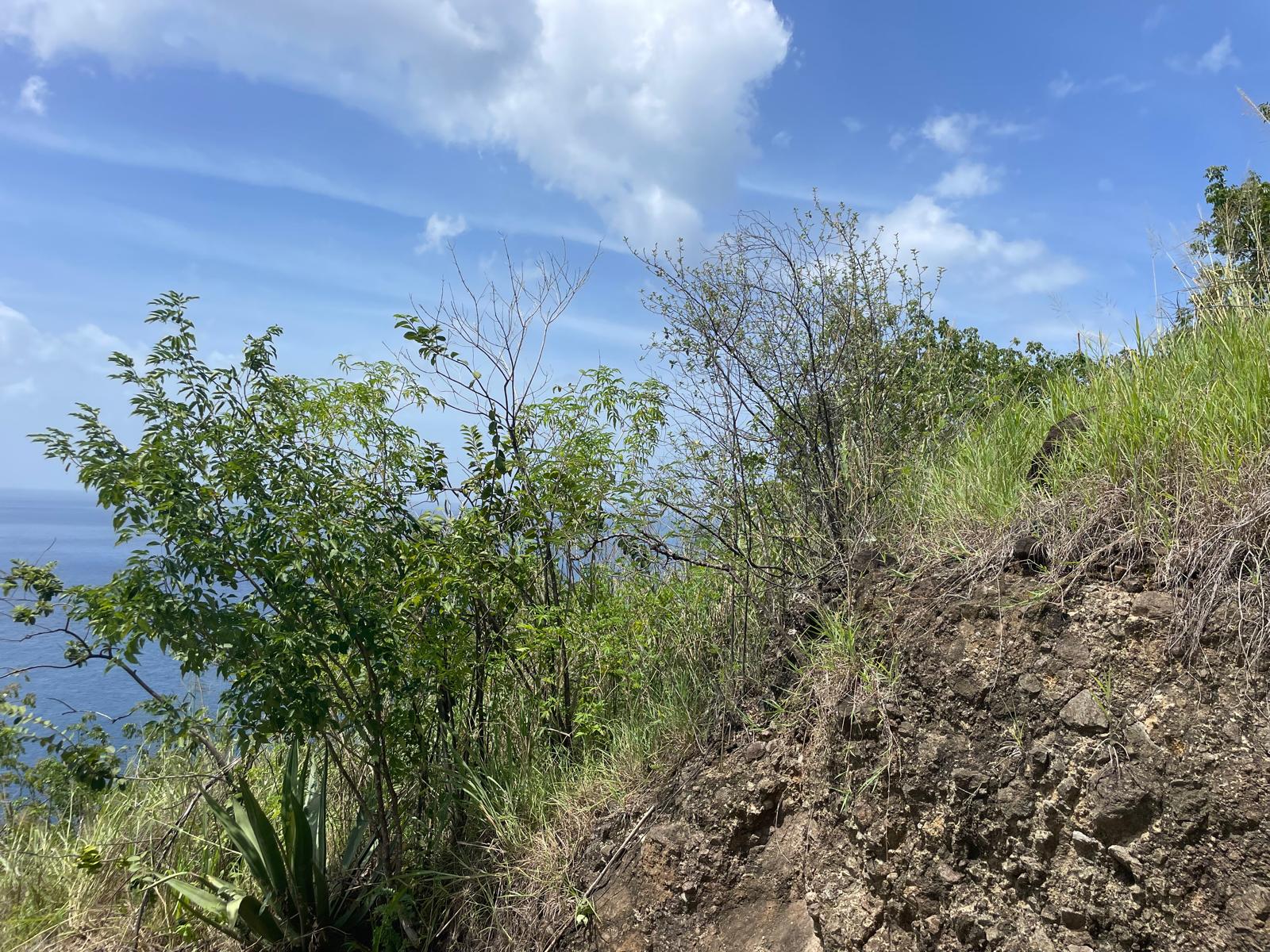 4.5 acres of ocean front property for sale in Colihaut, Dominica. – Inquire for price