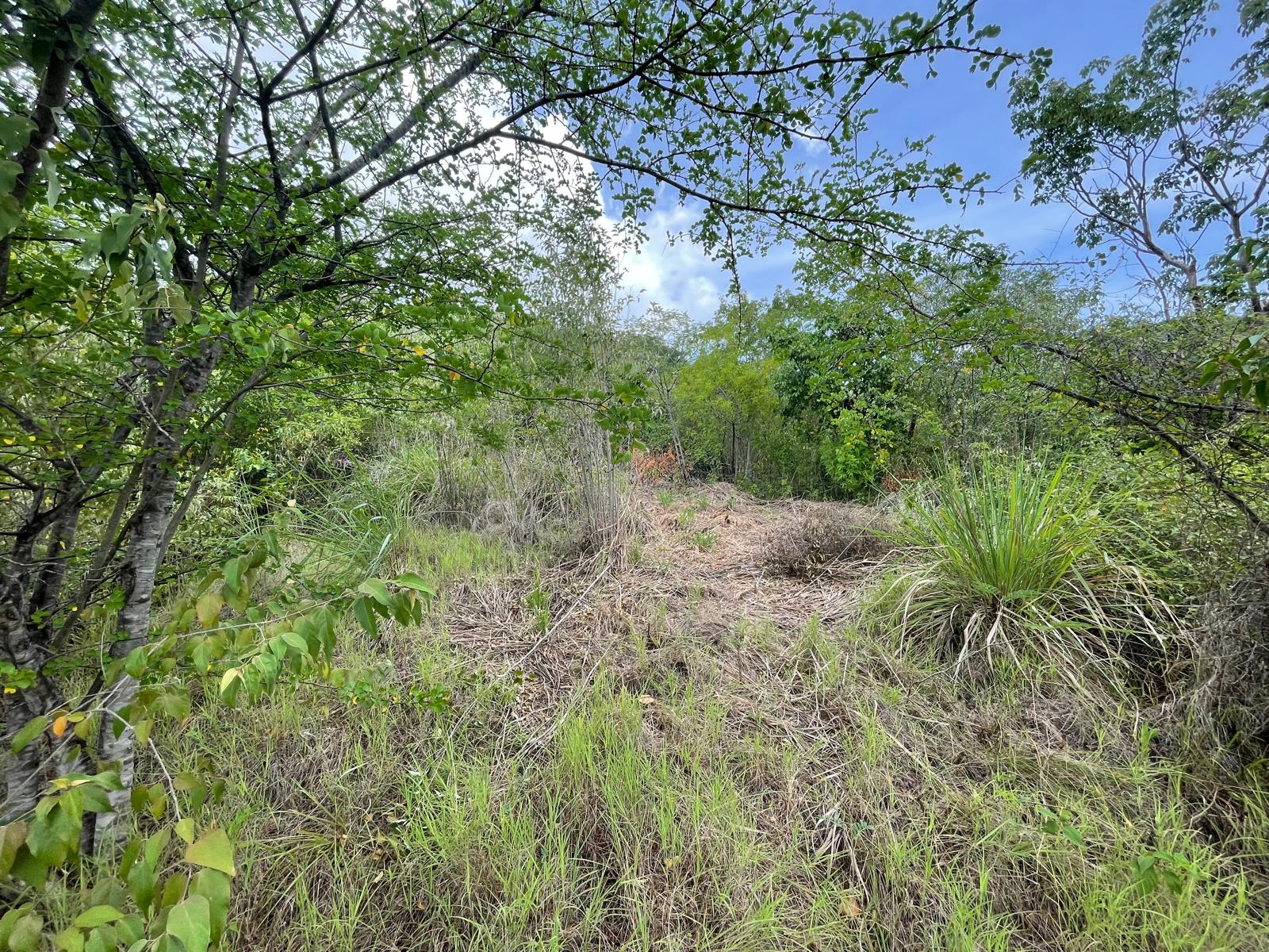 4.5 acres of ocean front property for sale in Colihaut, Dominica. – Inquire for price