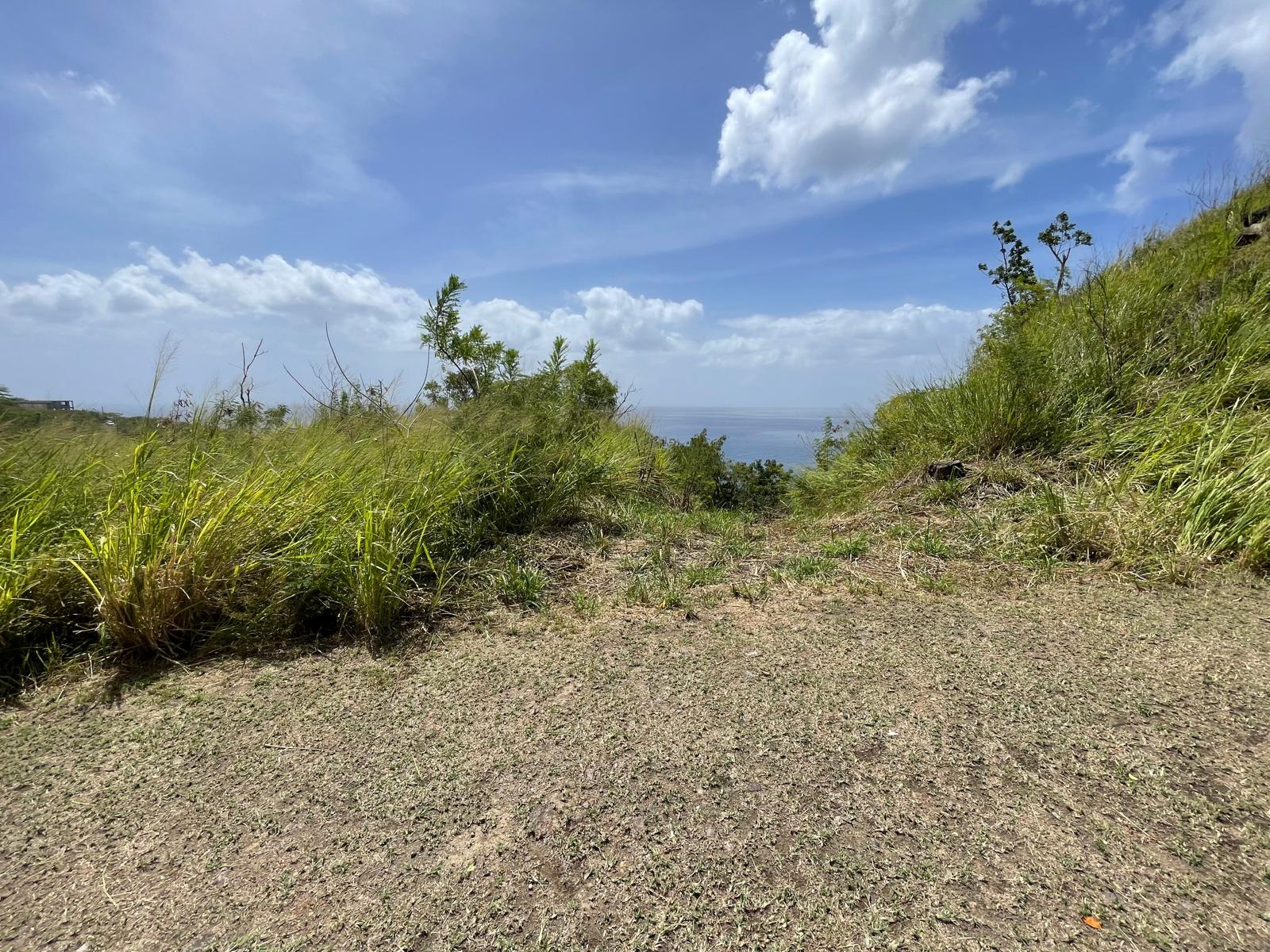 4.5 acres of ocean front property for sale in Colihaut, Dominica. – Inquire for price