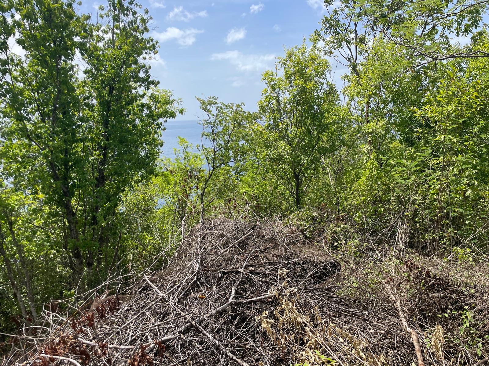 4.5 acres of ocean front property for sale in Colihaut, Dominica. – Inquire for price