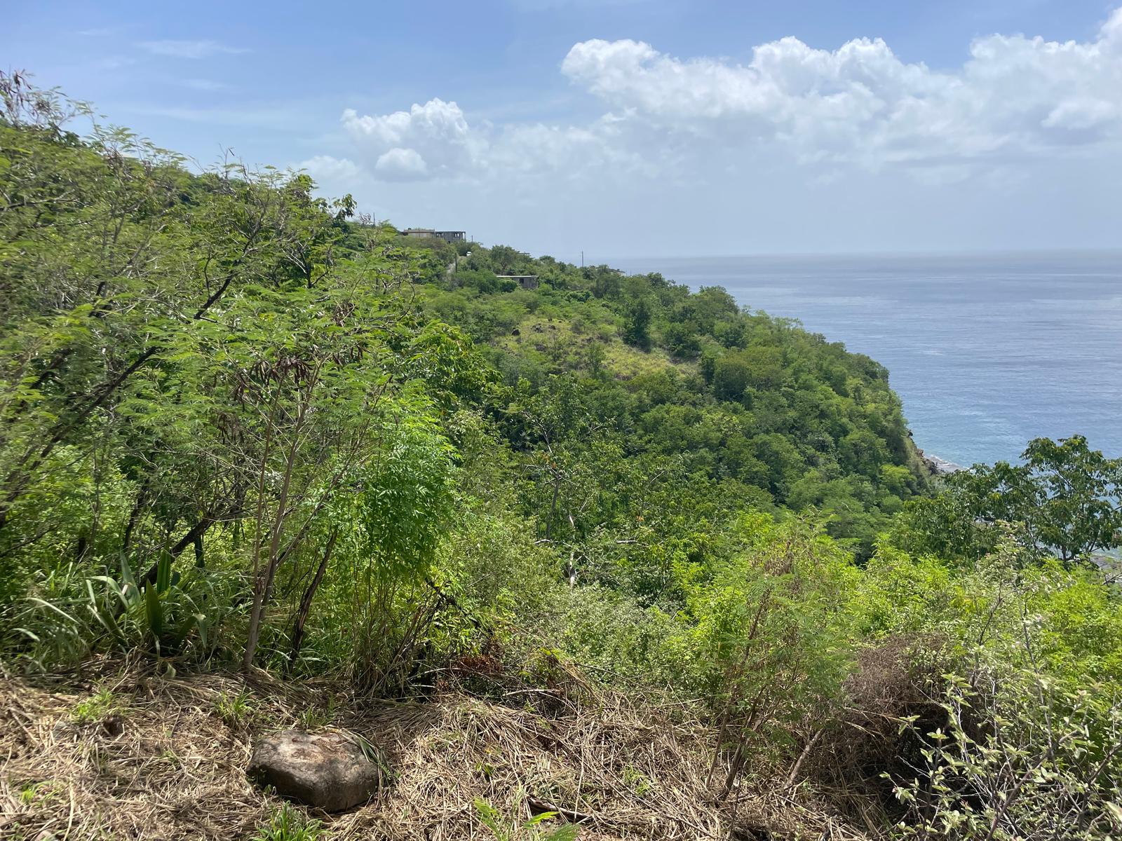 4.5 acres of ocean front property for sale in Colihaut, Dominica. – Inquire for price