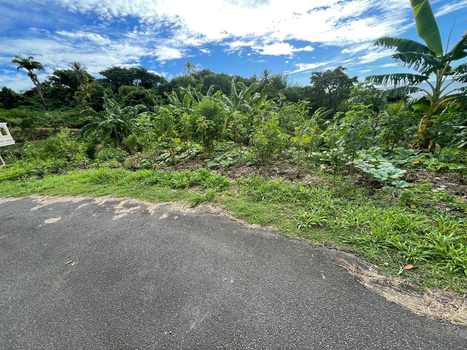 1/2 acre lot for sale in Belfast , Dominica – EC$275,000 / US$102,996