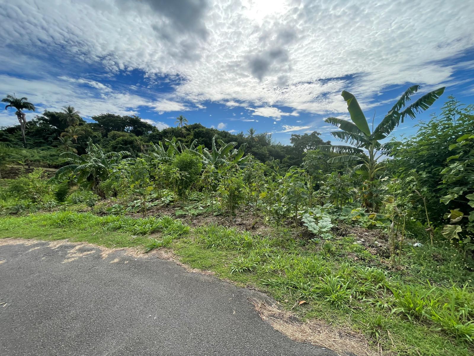 1/2 acre lot for sale in Belfast , Dominica – EC$275,000 / US$102,996