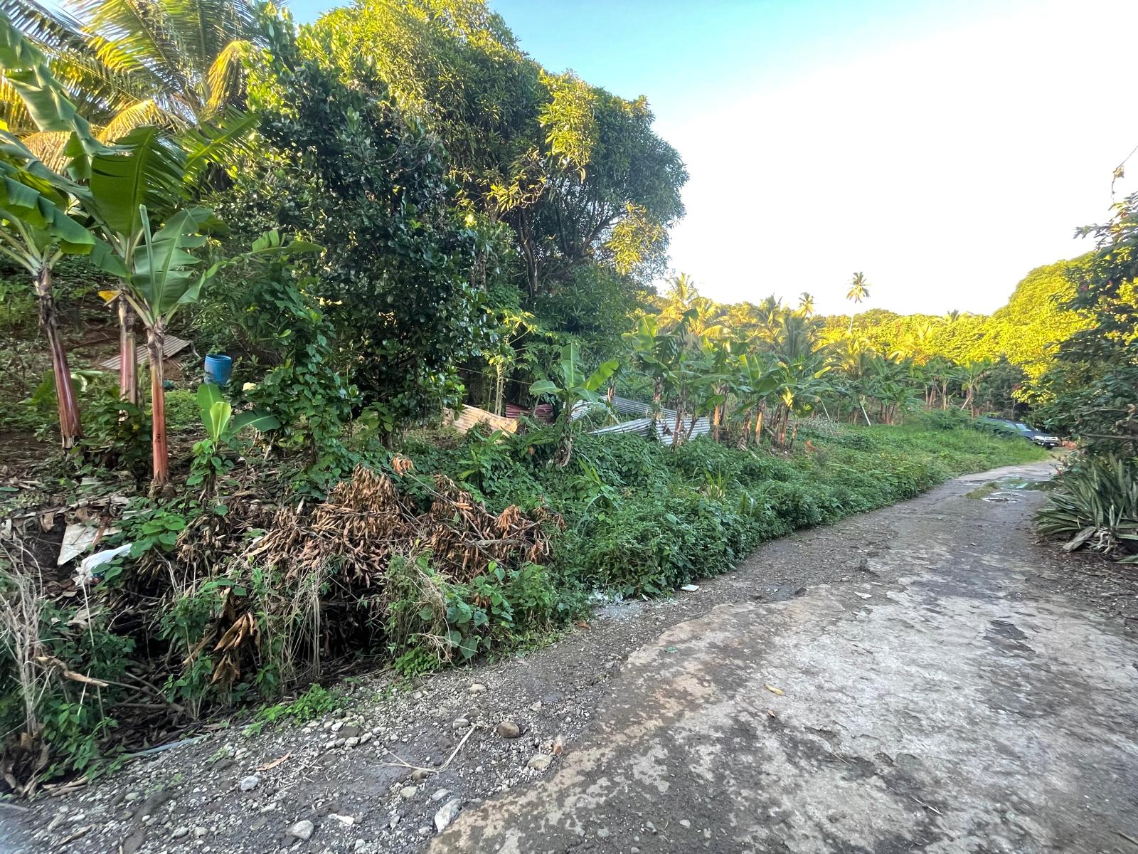 5475sqft residential lot in Windblow  Castle Bruce, Dominica – EC$49,275 / US$18,455