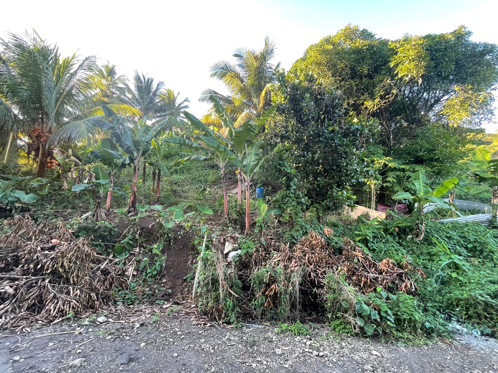 5475sqft residential lot in Windblow  Castle Bruce, Dominica – EC$49,275 / US$18,455
