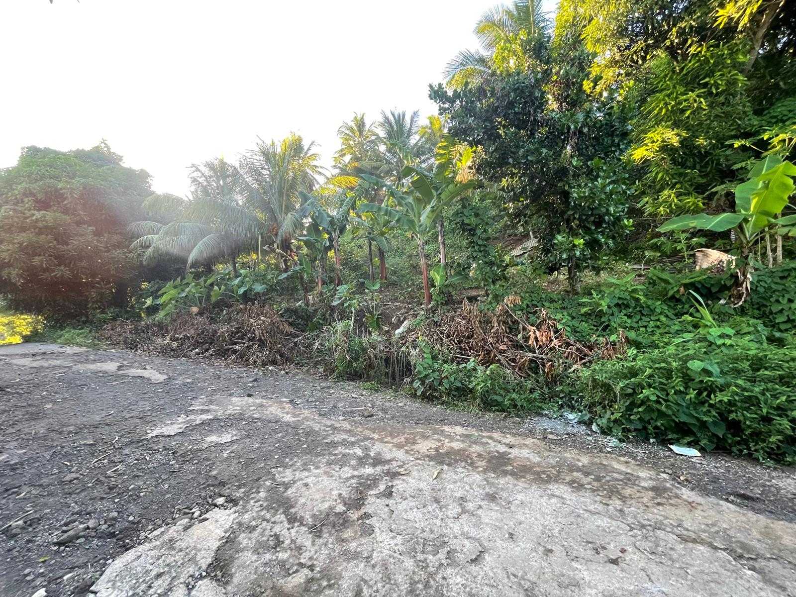 5475sqft residential lot in Windblow  Castle Bruce, Dominica – EC$49,275 / US$18,455