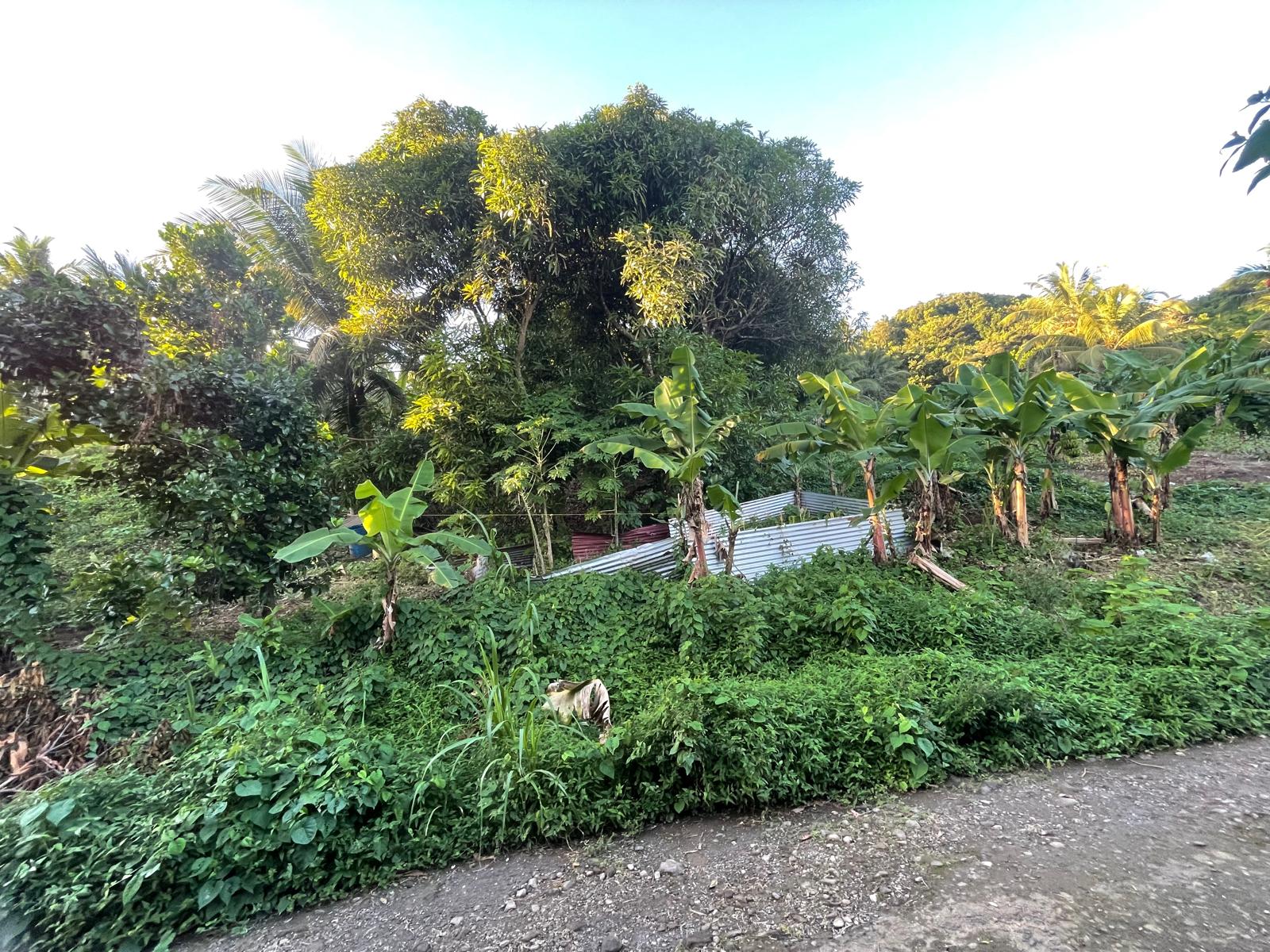 5475sqft residential lot in Windblow  Castle Bruce, Dominica – EC$49,275 / US$18,455