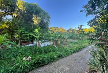 5475sqft residential lot in Windblow  Castle Bruce, Dominica – EC$49,275 / US$18,455