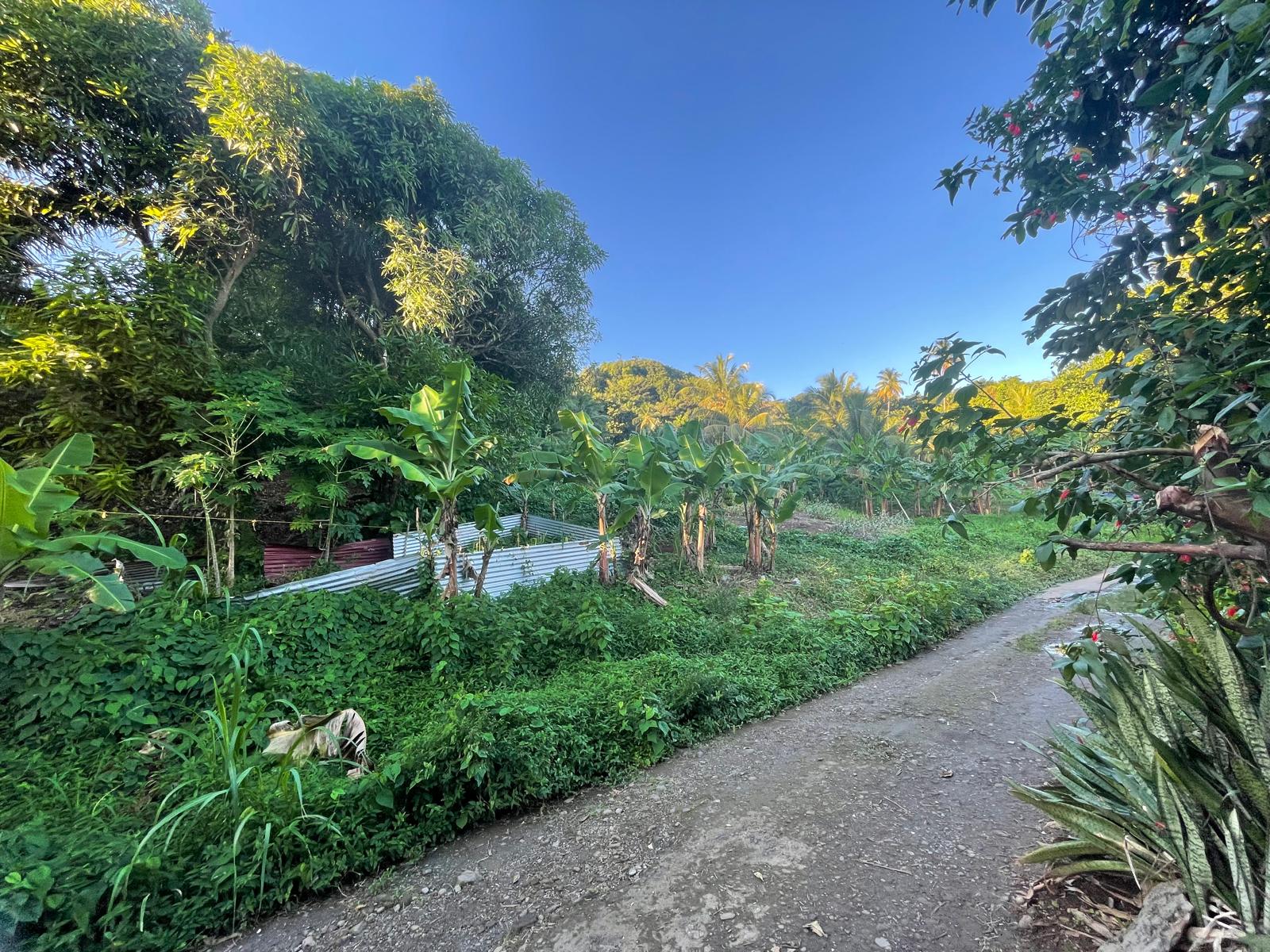 5475sqft residential lot in Windblow  Castle Bruce, Dominica – EC$49,275 / US$18,455