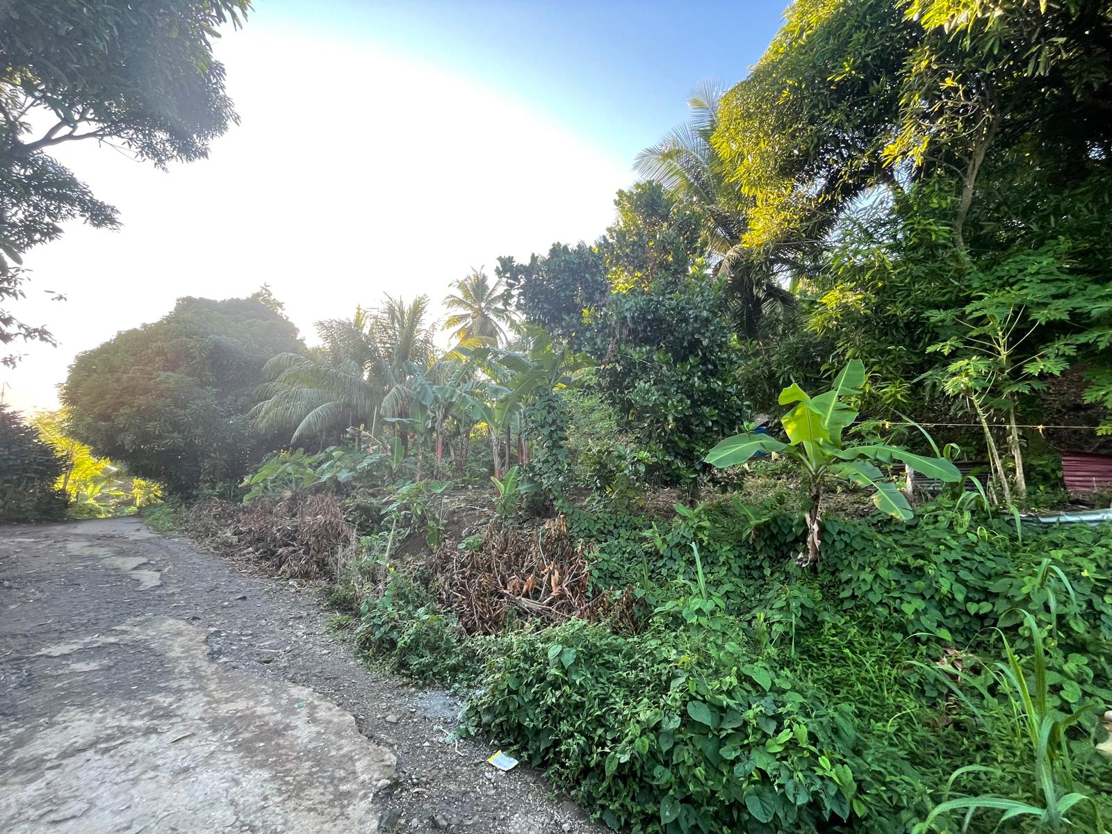 5475sqft residential lot in Windblow  Castle Bruce, Dominica – EC$49,275 / US$18,455