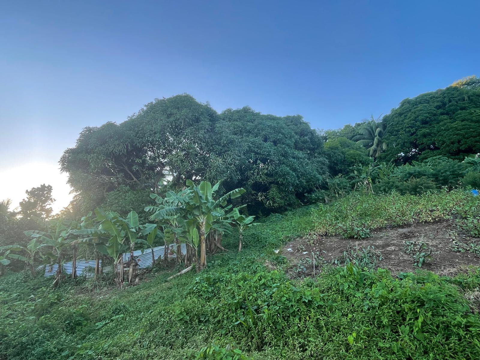 5475sqft residential lot in Windblow  Castle Bruce, Dominica – EC$49,275 / US$18,455