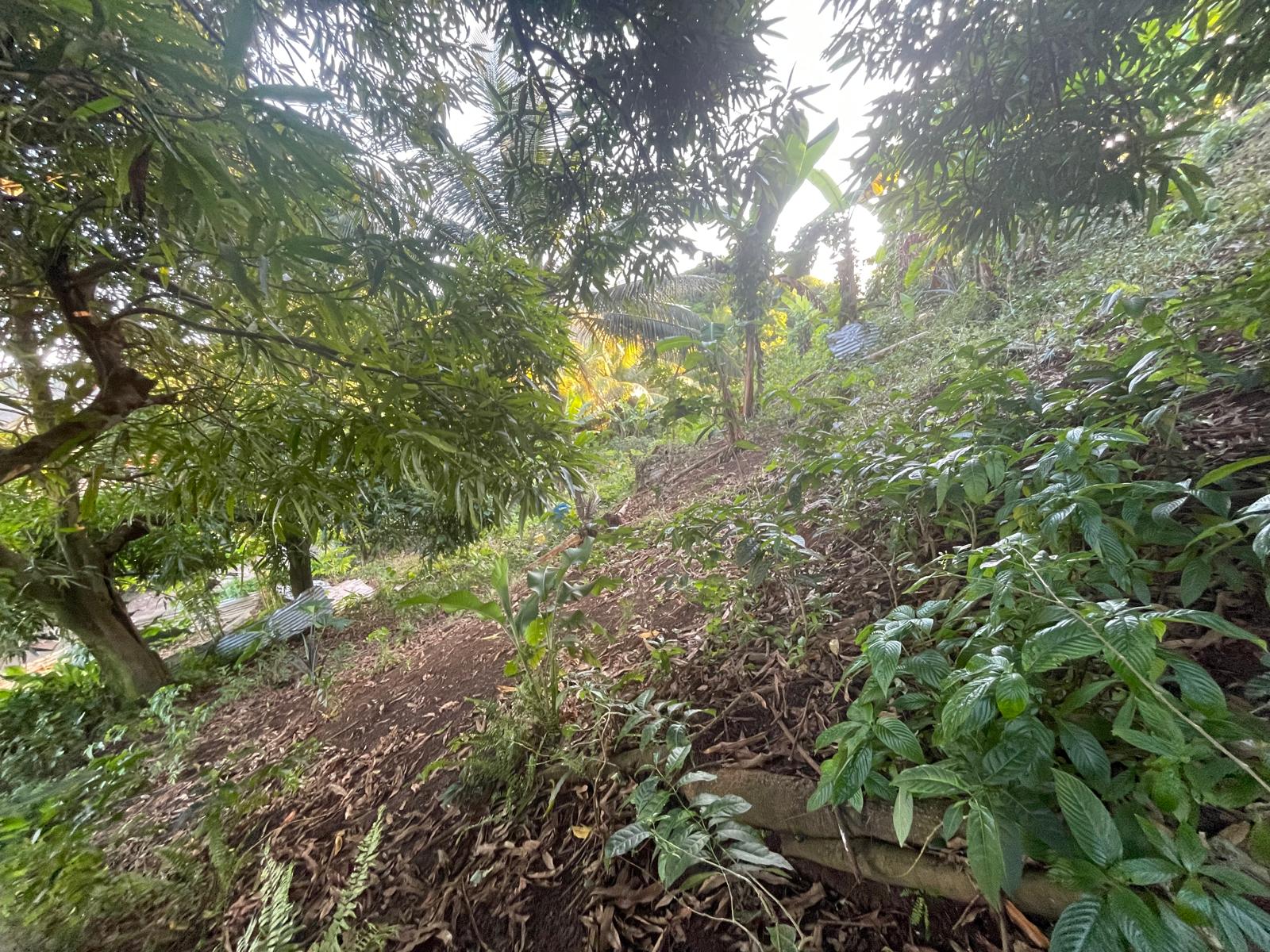 5475sqft residential lot in Windblow  Castle Bruce, Dominica – EC$49,275 / US$18,455