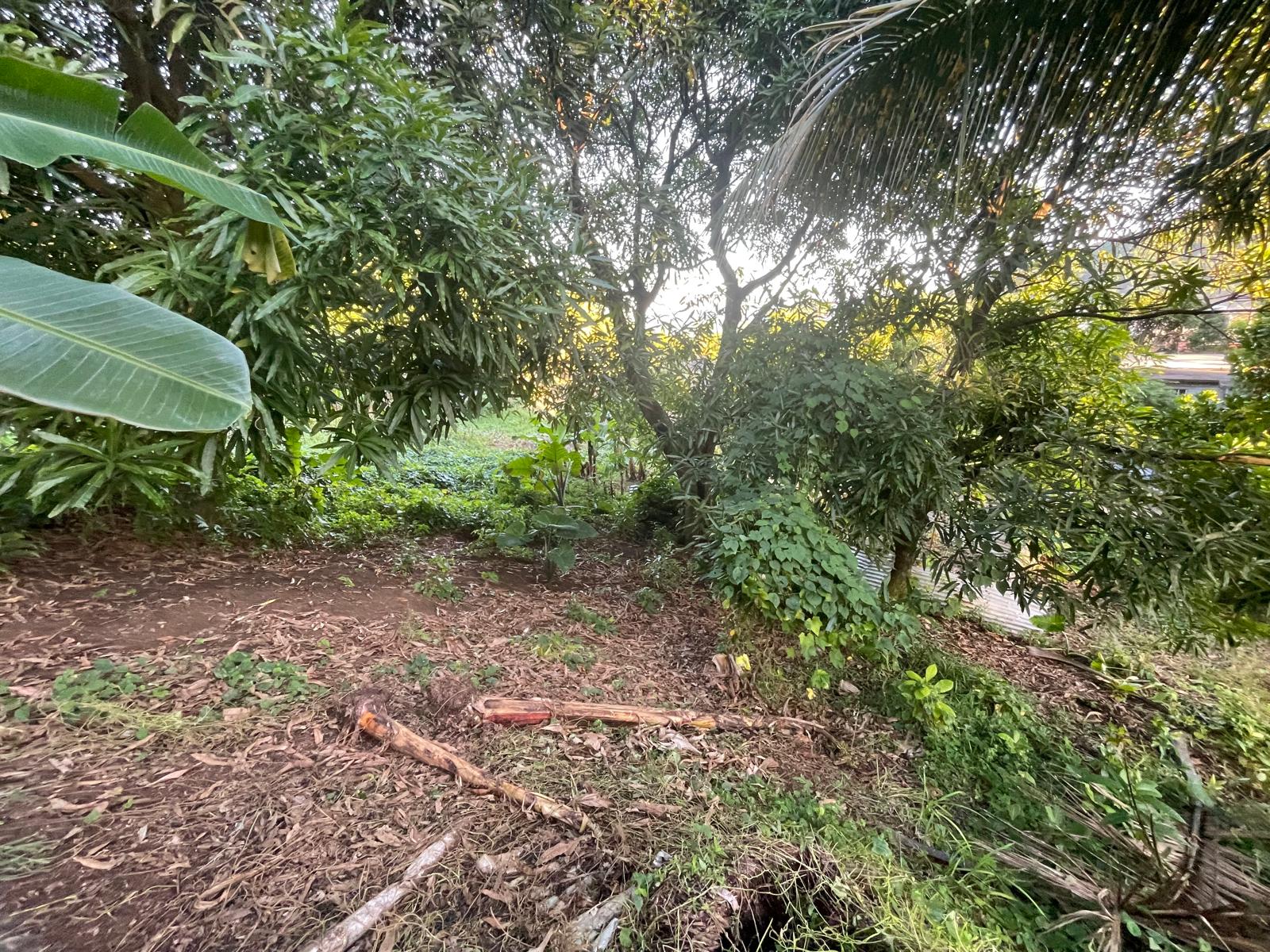 5475sqft residential lot in Windblow  Castle Bruce, Dominica – EC$49,275 / US$18,455