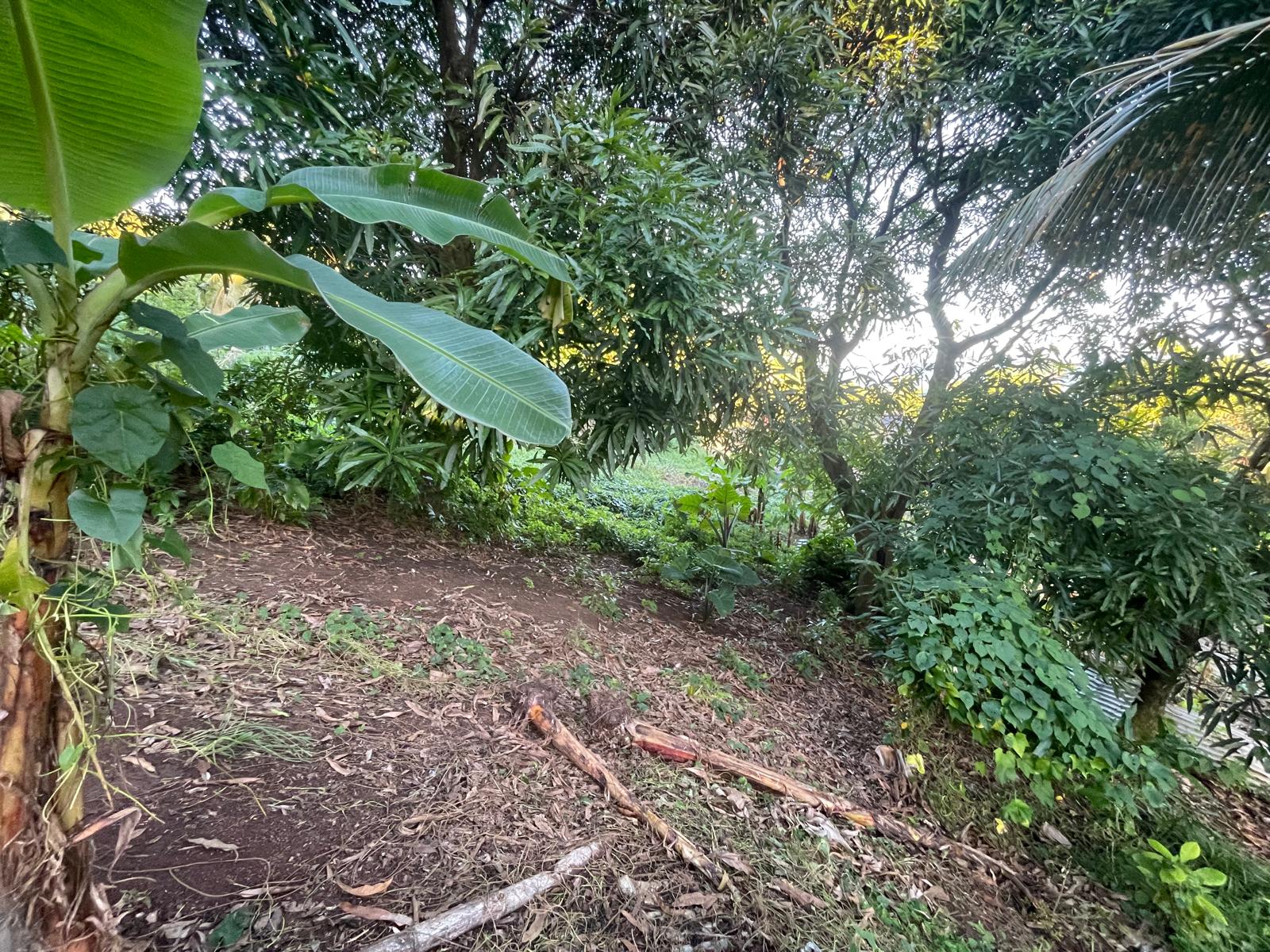 5475sqft residential lot in Windblow  Castle Bruce, Dominica – EC$49,275 / US$18,455