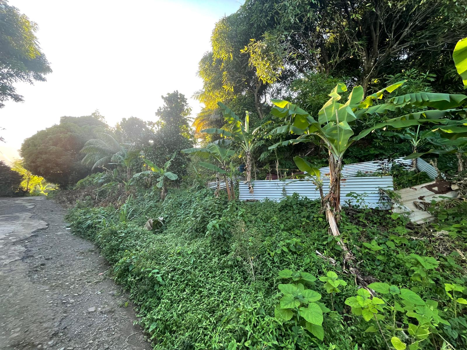 5475sqft residential lot in Windblow  Castle Bruce, Dominica – EC$49,275 / US$18,455