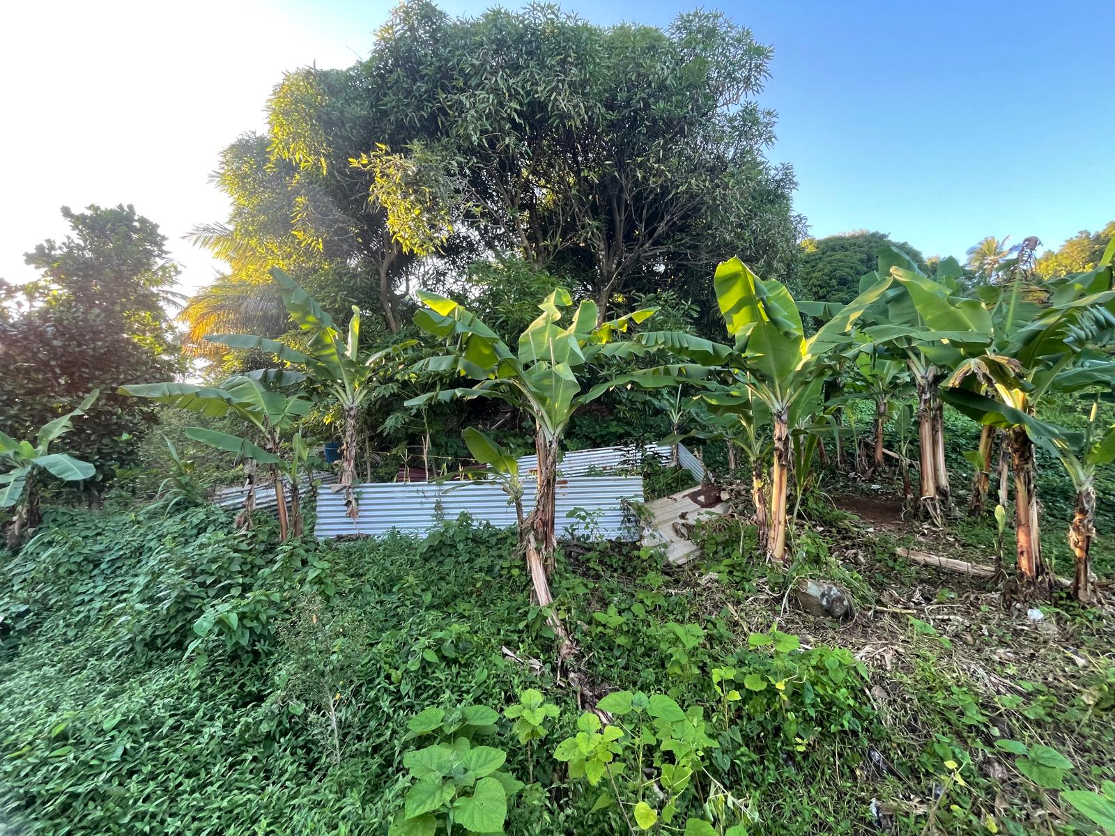 5475sqft residential lot in Windblow  Castle Bruce, Dominica – EC$49,275 / US$18,455