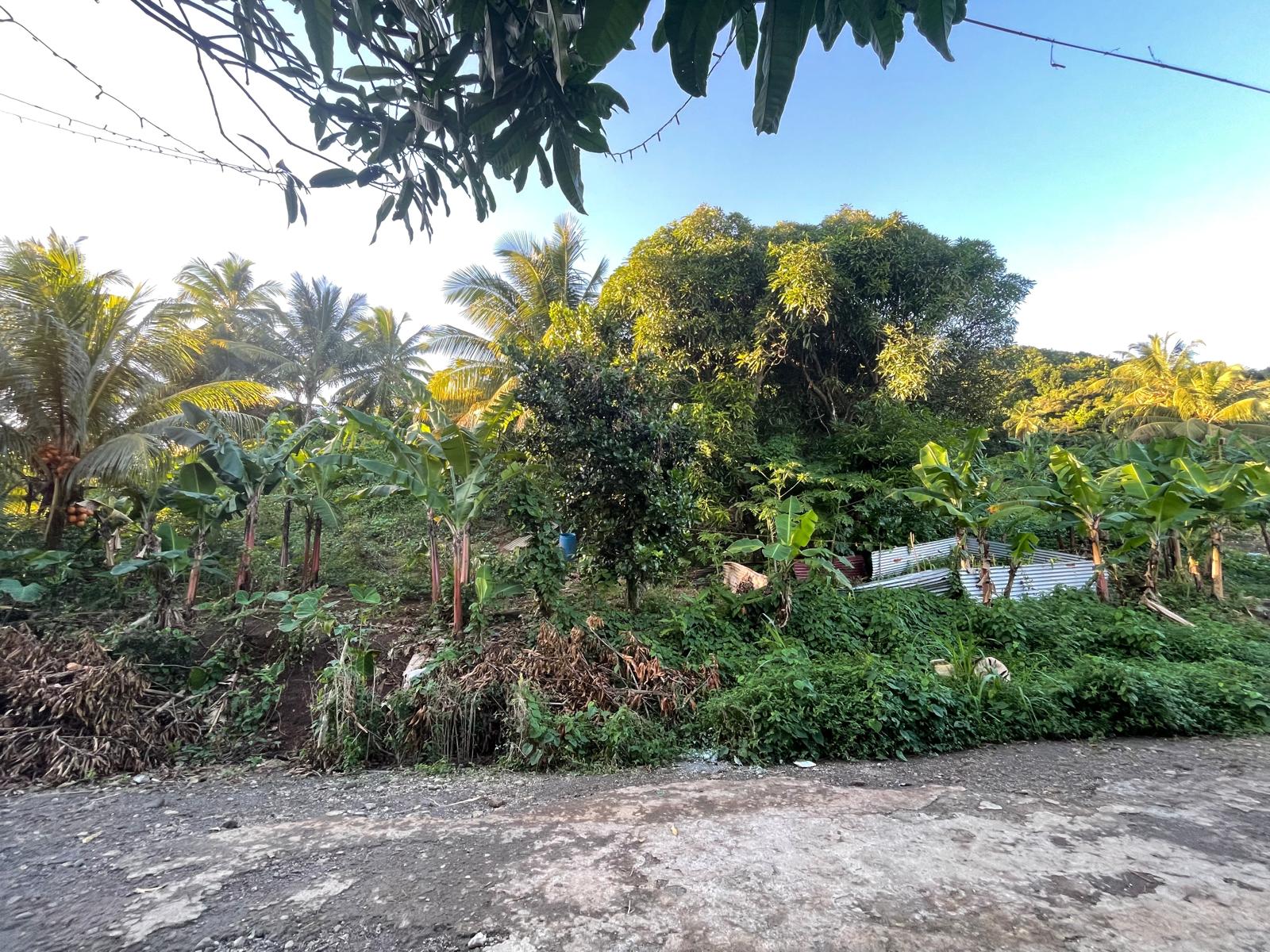 5475sqft residential lot in Windblow  Castle Bruce, Dominica – EC$49,275 / US$18,455