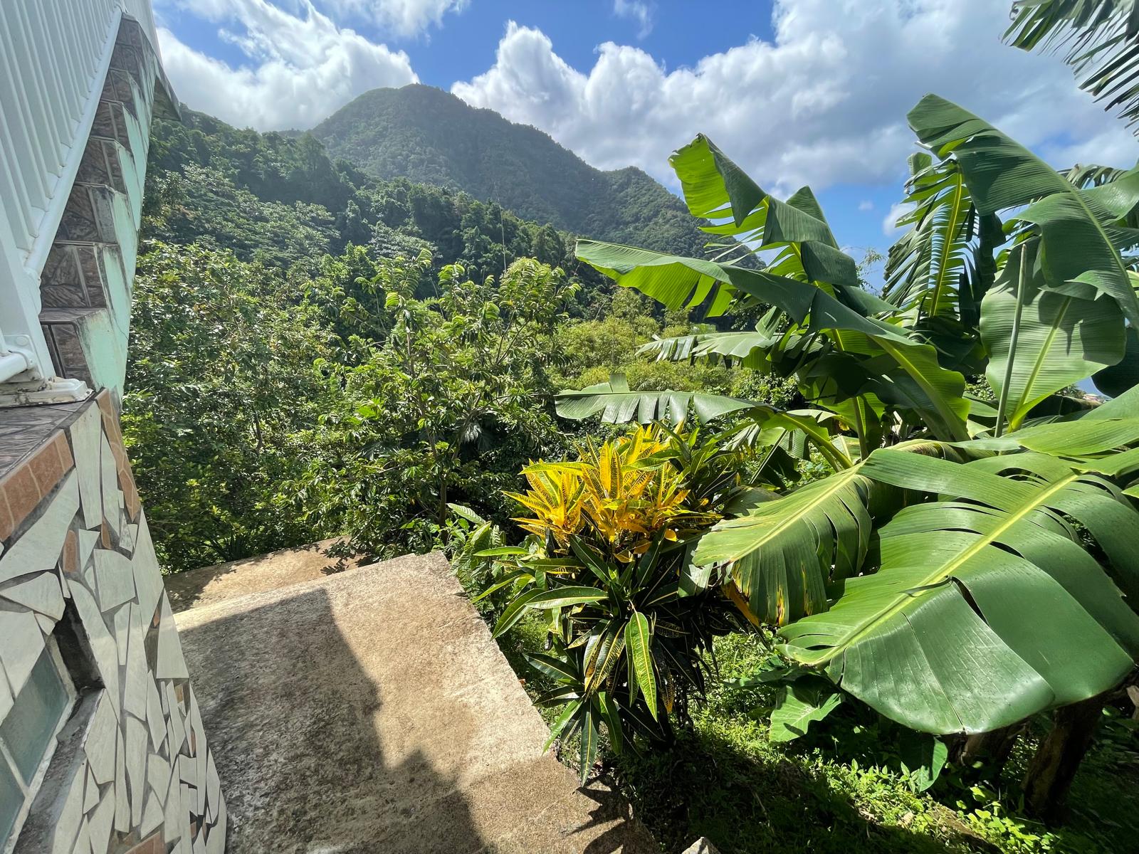 2 bedrooms, 1 bath apt for rent in Wallhouse, Dominica – EC$2000 /US$750 nmonthly