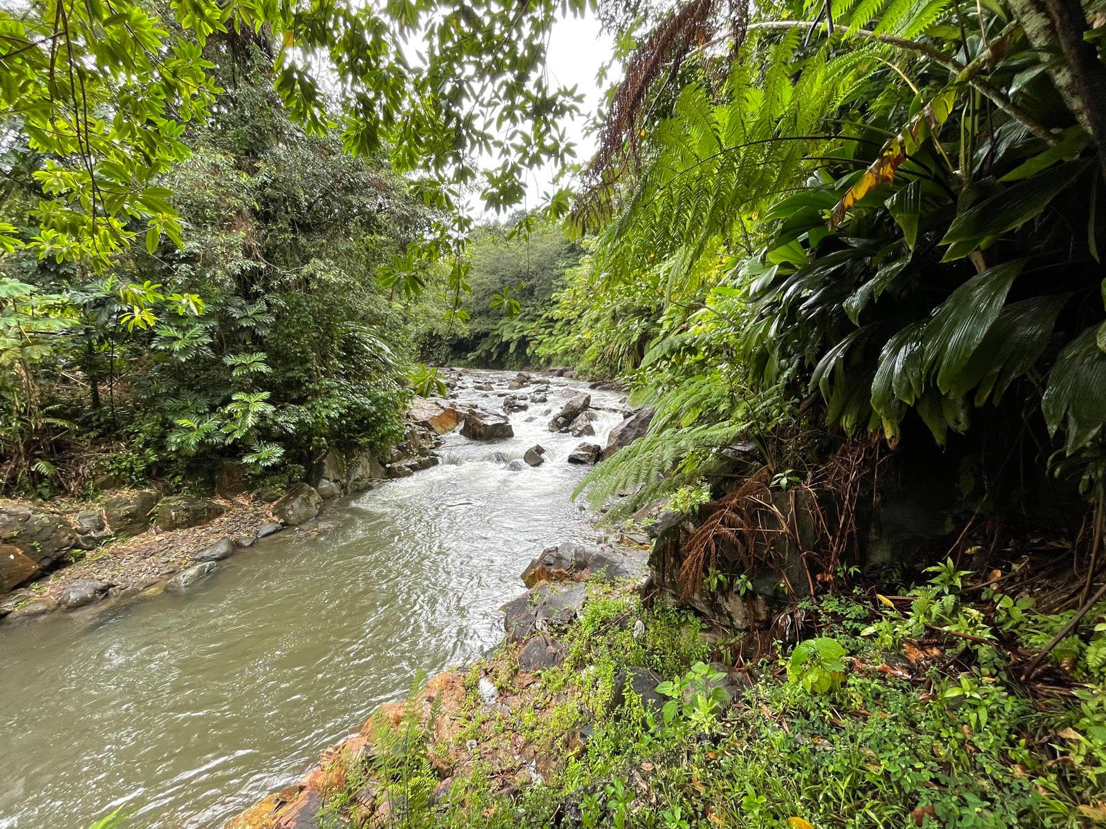 Exquisite & elegant Sabifi River Resort – Castle Bruce, Dominica