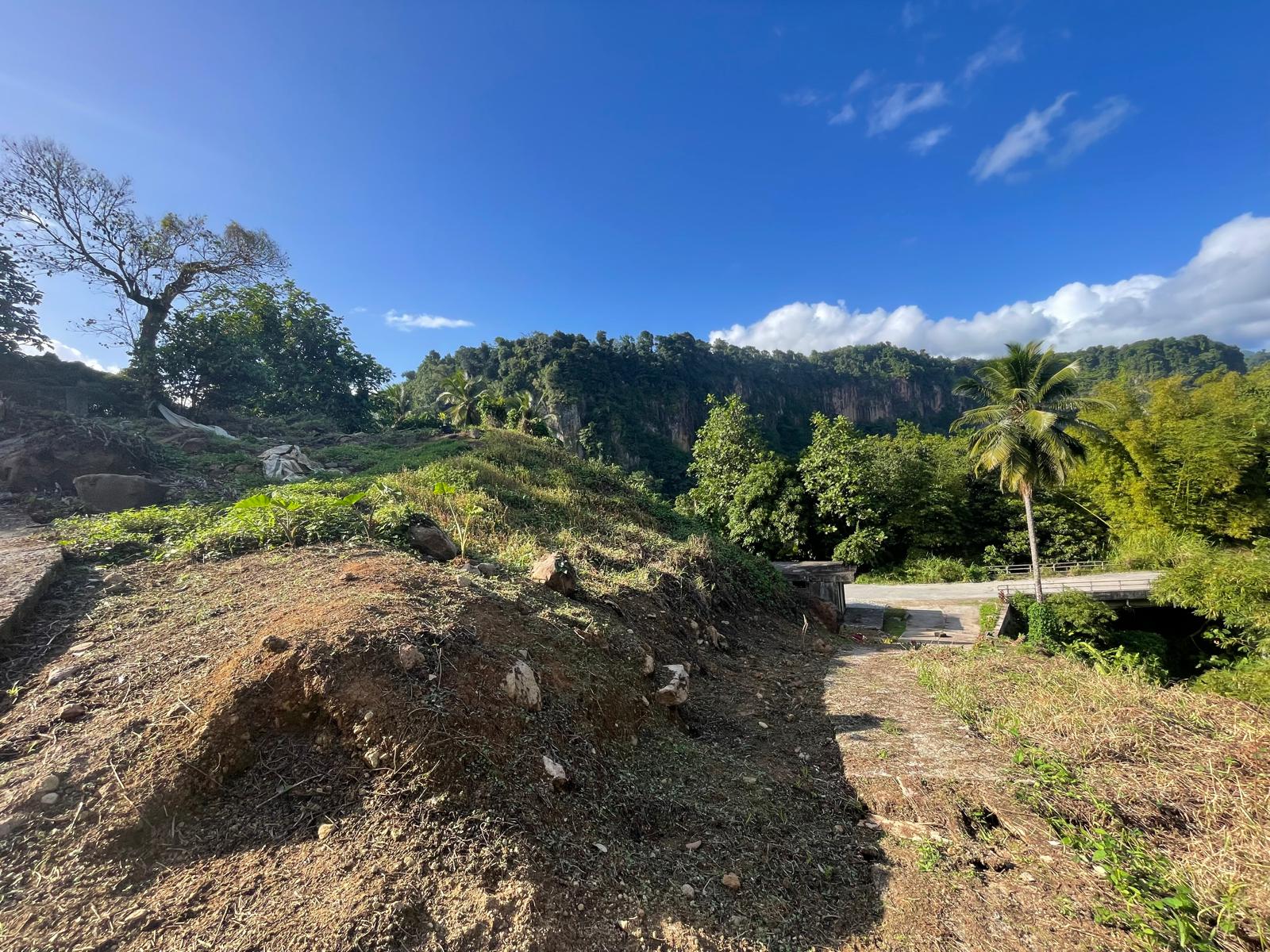 Agriculture/residential property in Layou Valley, Dominica – EC$385,000 / US$144,195