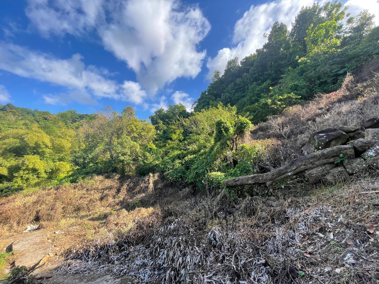 Agriculture/residential property in Layou Valley, Dominica – EC$385,000 / US$144,195