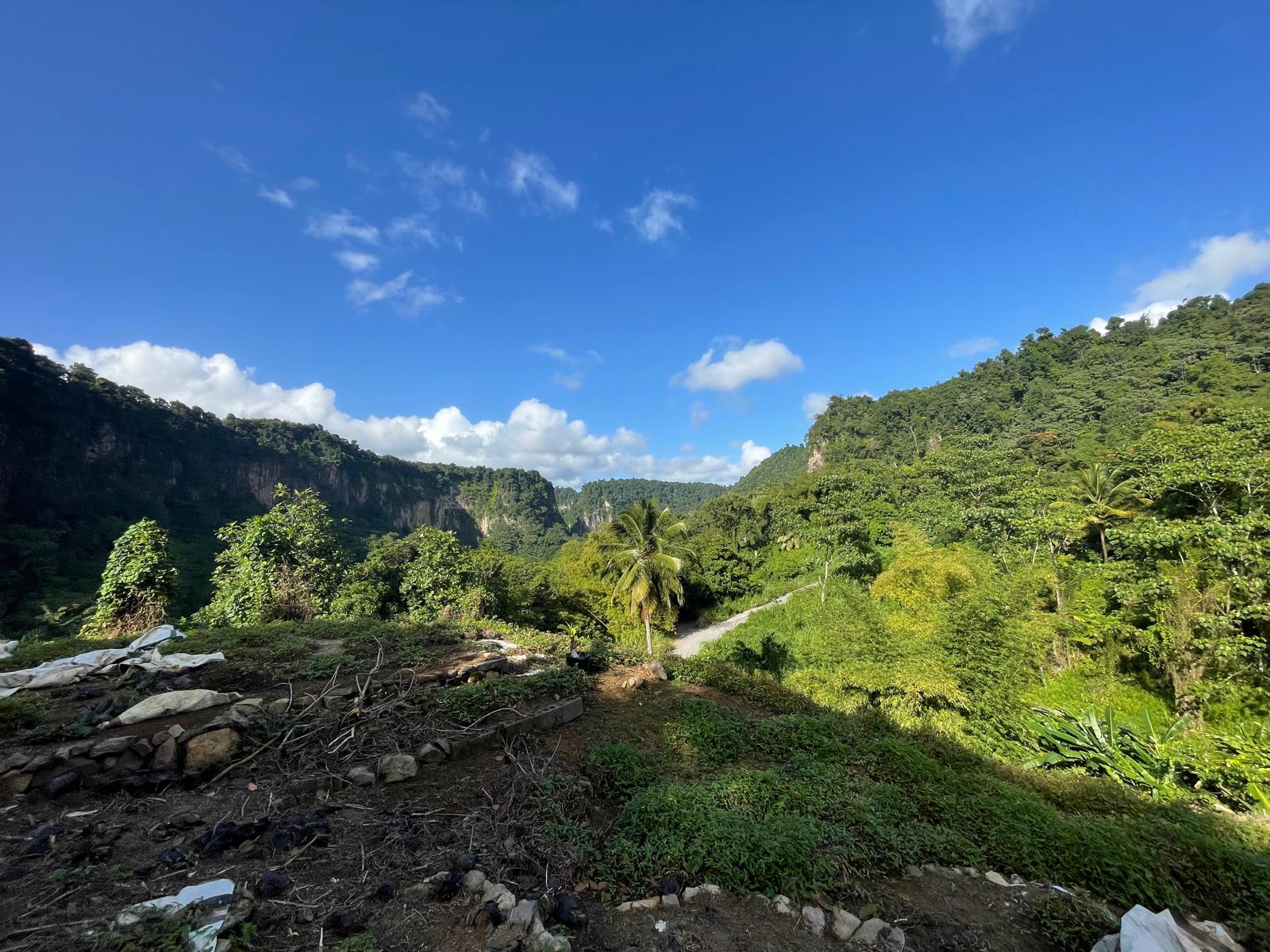 Agriculture/residential property in Layou Valley, Dominica – EC$385,000 / US$144,195