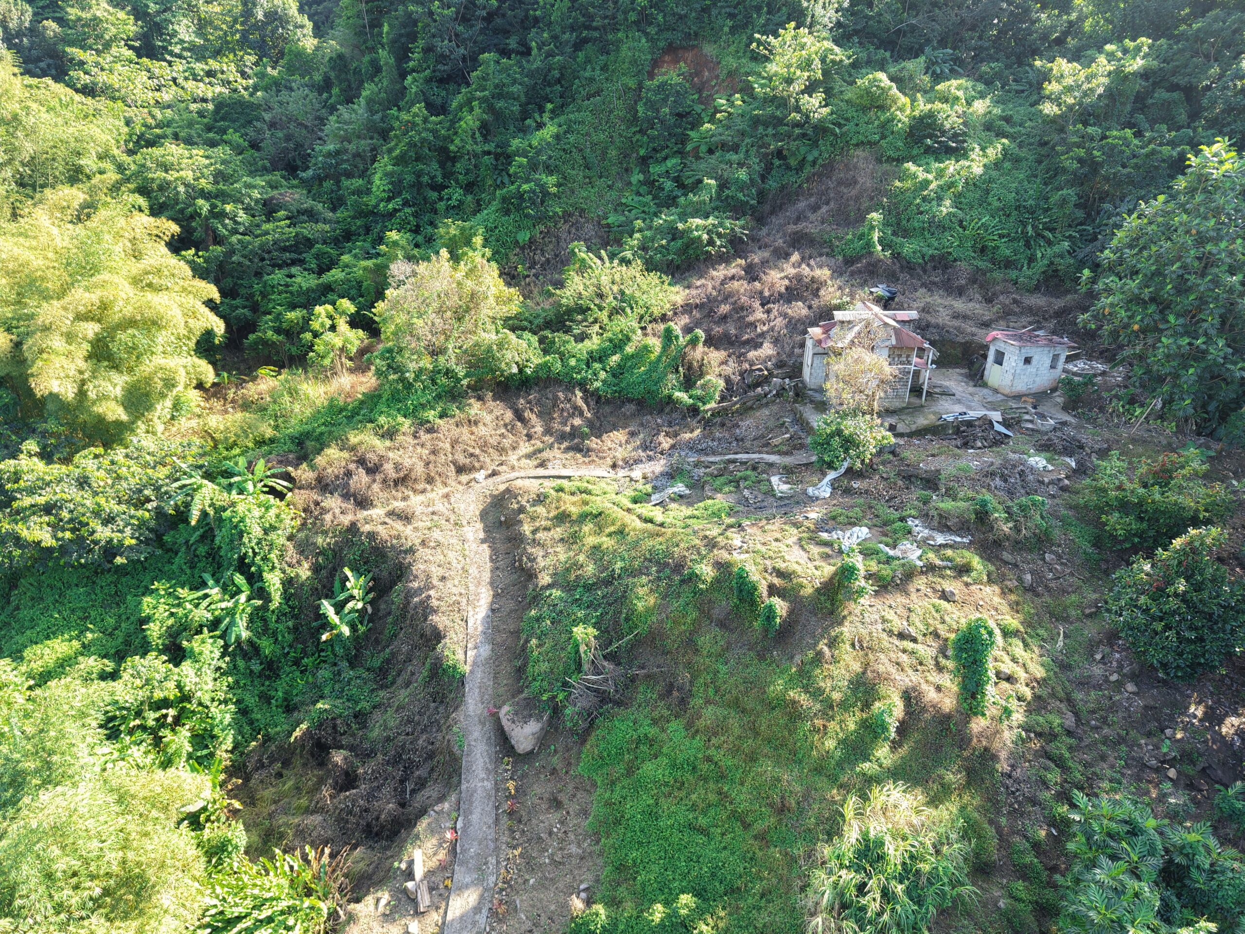 Agriculture/residential property in Layou Valley, Dominica – EC$385,000 / US$144,195