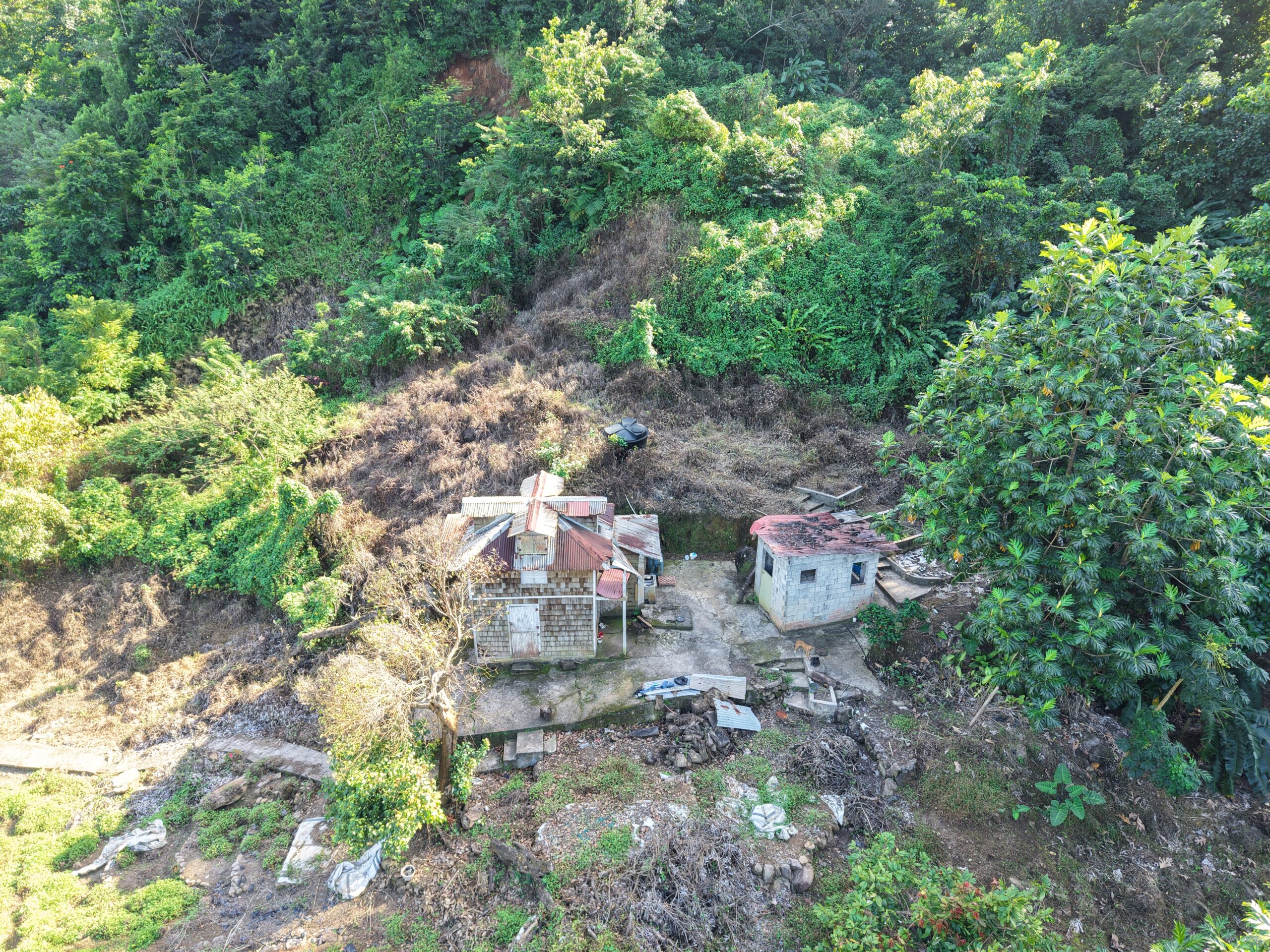 Agriculture/residential property in Layou Valley, Dominica – EC$385,000 / US$144,195