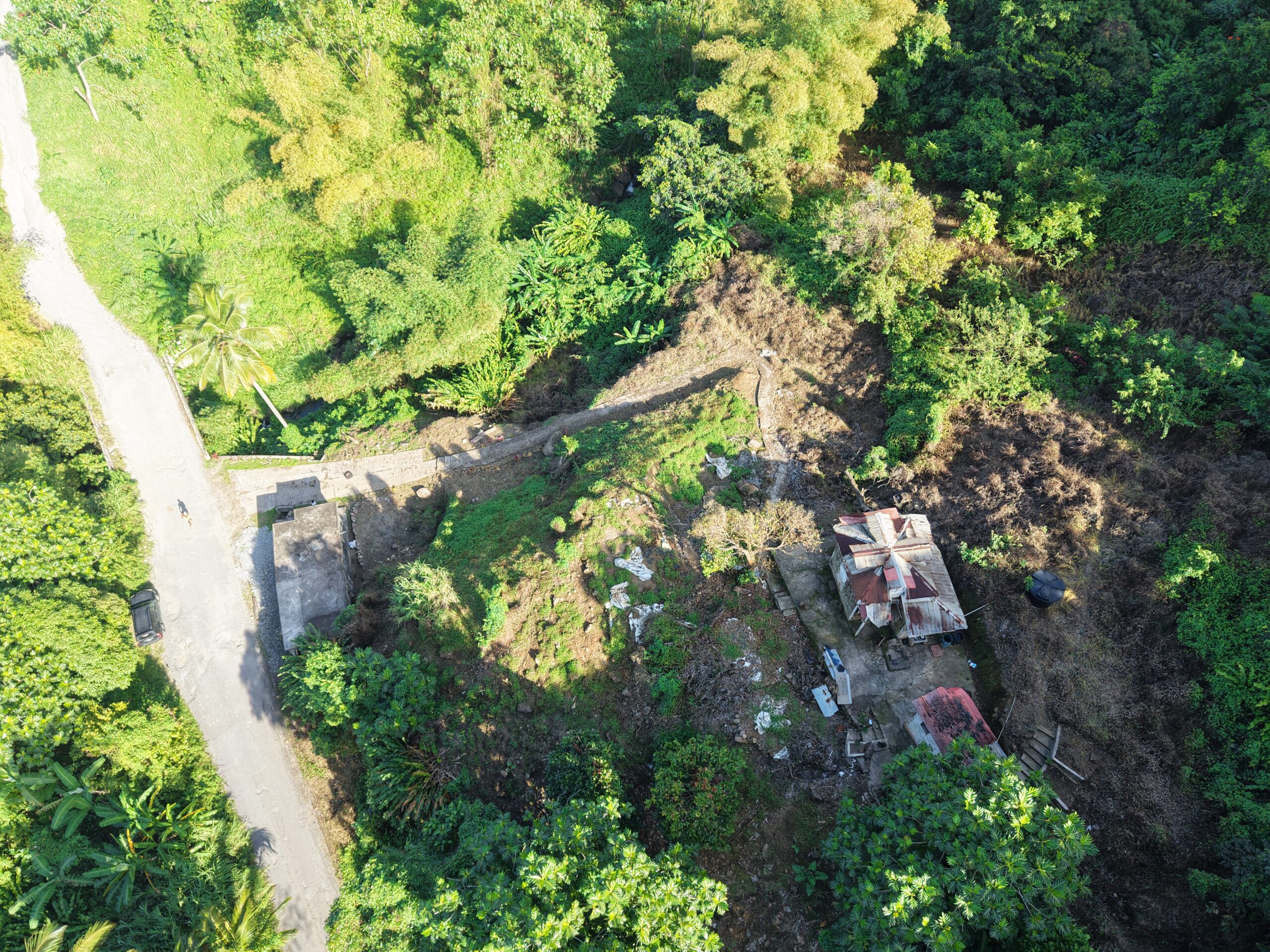 Agriculture/residential property in Layou Valley, Dominica – EC$385,000 / US$144,195