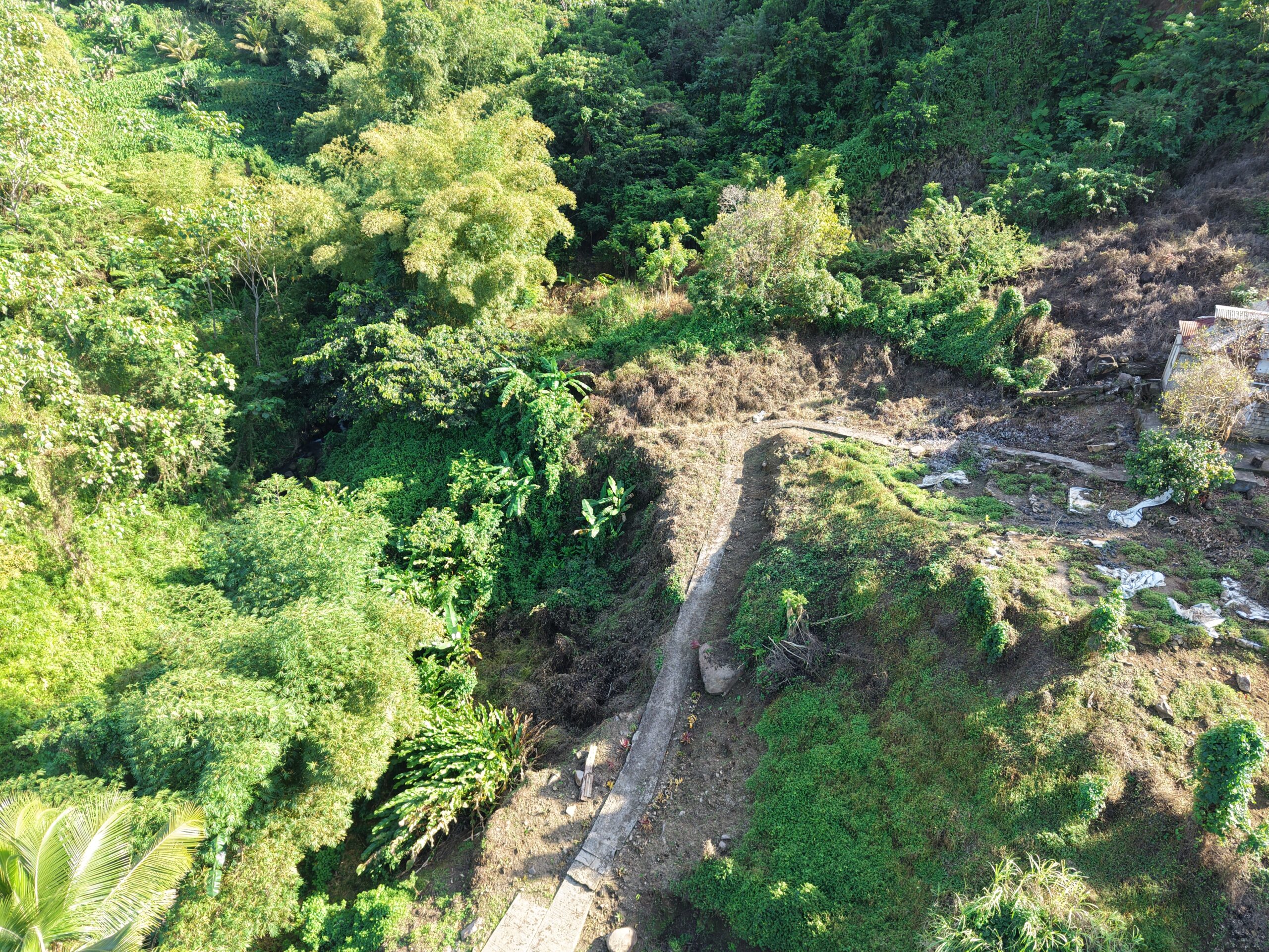 Agriculture/residential property in Layou Valley, Dominica – EC$385,000 / US$144,195