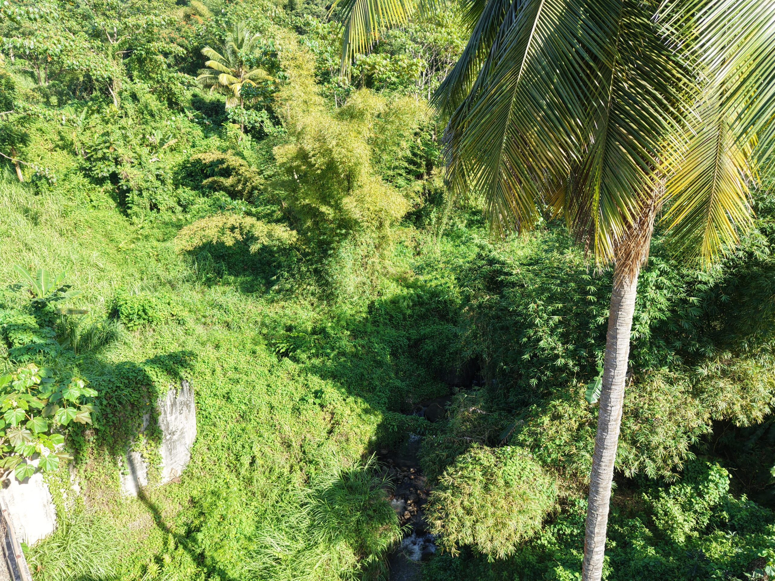 Agriculture/residential property in Layou Valley, Dominica – EC$385,000 / US$144,195