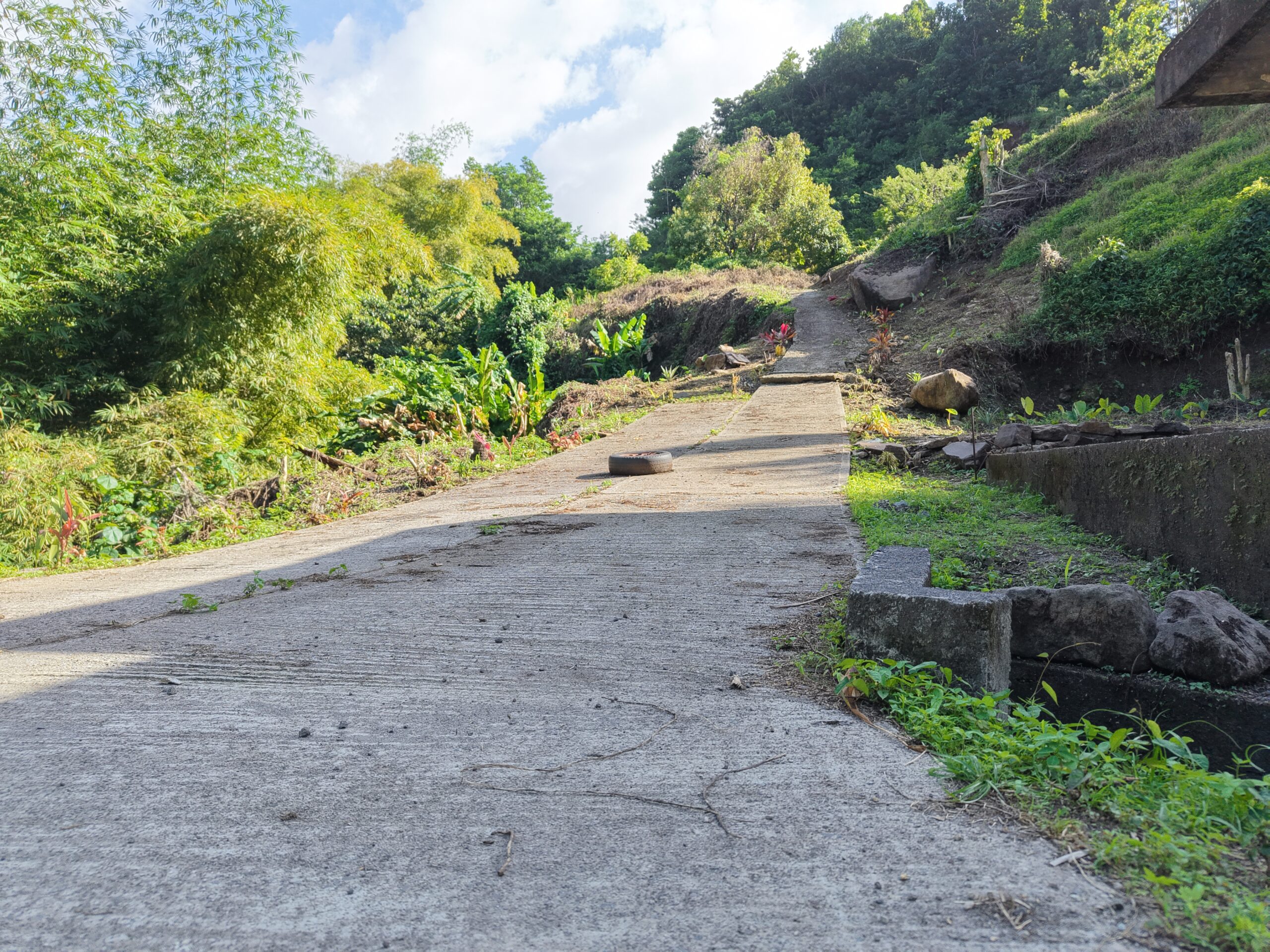 Agriculture/residential property in Layou Valley, Dominica – EC$385,000 / US$144,195