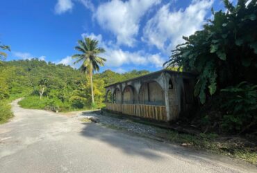 Agriculture/residential property in Layou Valley, Dominica – EC$385,000 / US$144,195