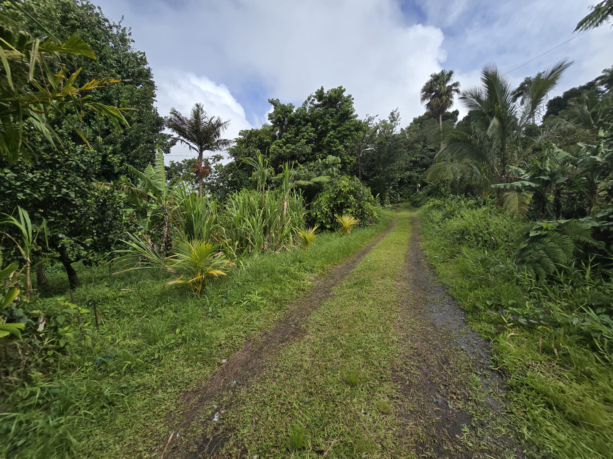 5 bedrooms, 3 baths (2 storey) house in Sultan, Dominica -EC$1,350,000 / US$505,618