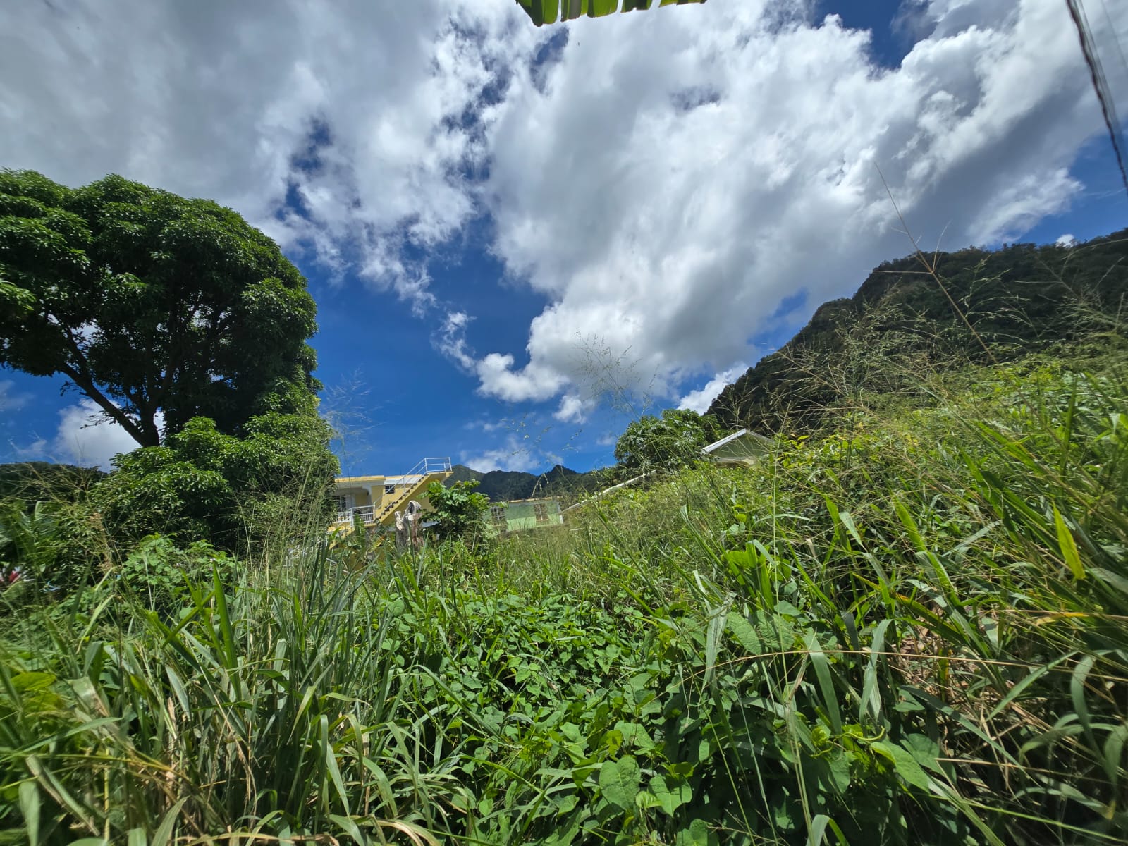 3,129sqft residential lot in Union Estate Pointe Mitchel, Dominica – EC$50,000 /US$18,727