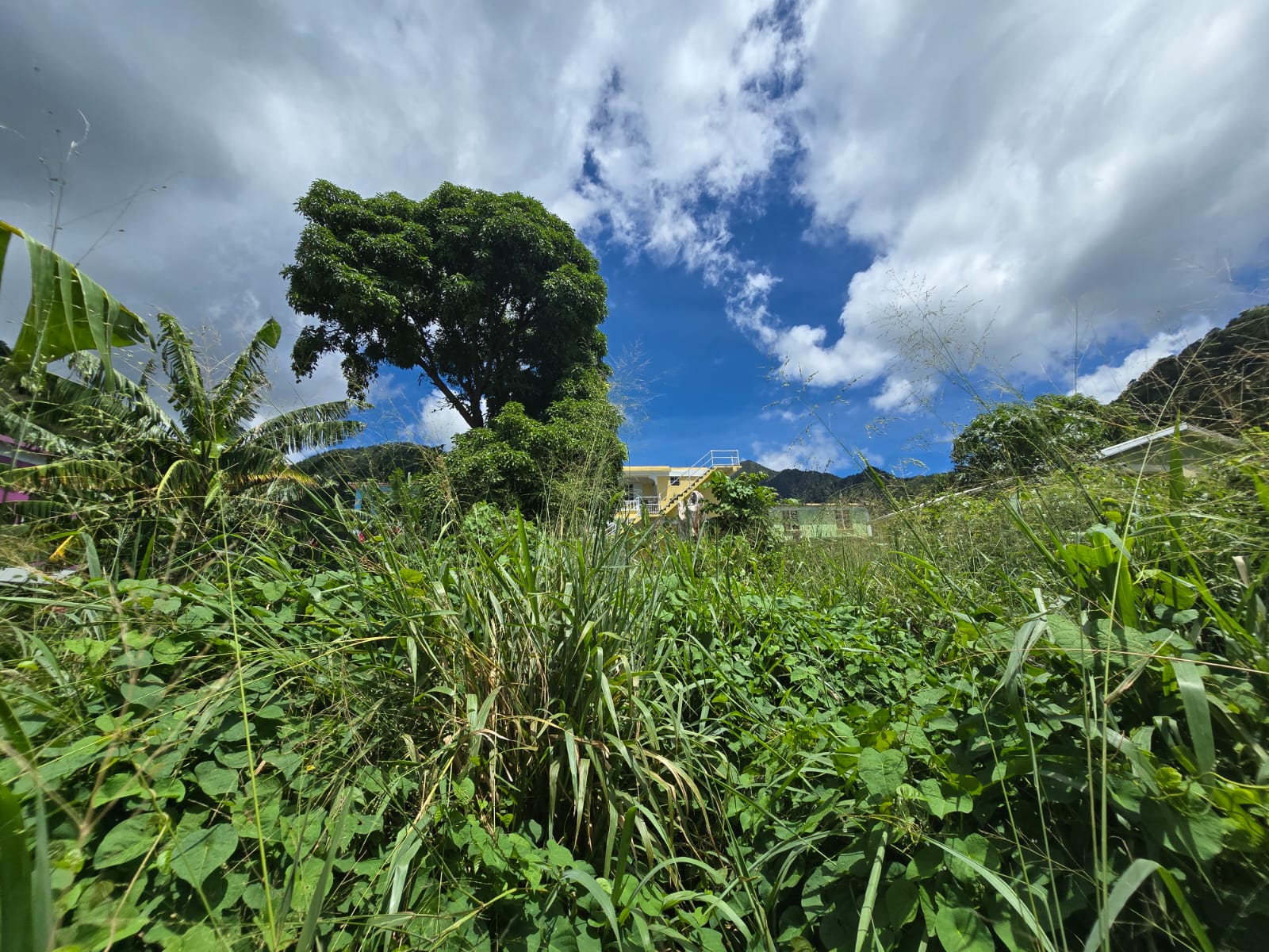 3,129sqft residential lot in Union Estate Pointe Mitchel, Dominica – EC$50,000 /US$18,727