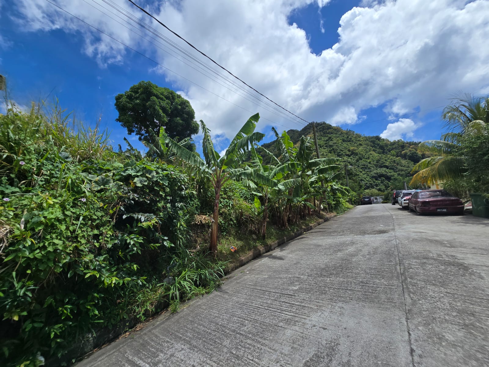 3,129sqft residential lot in Union Estate Pointe Mitchel, Dominica – EC$50,000 /US$18,727
