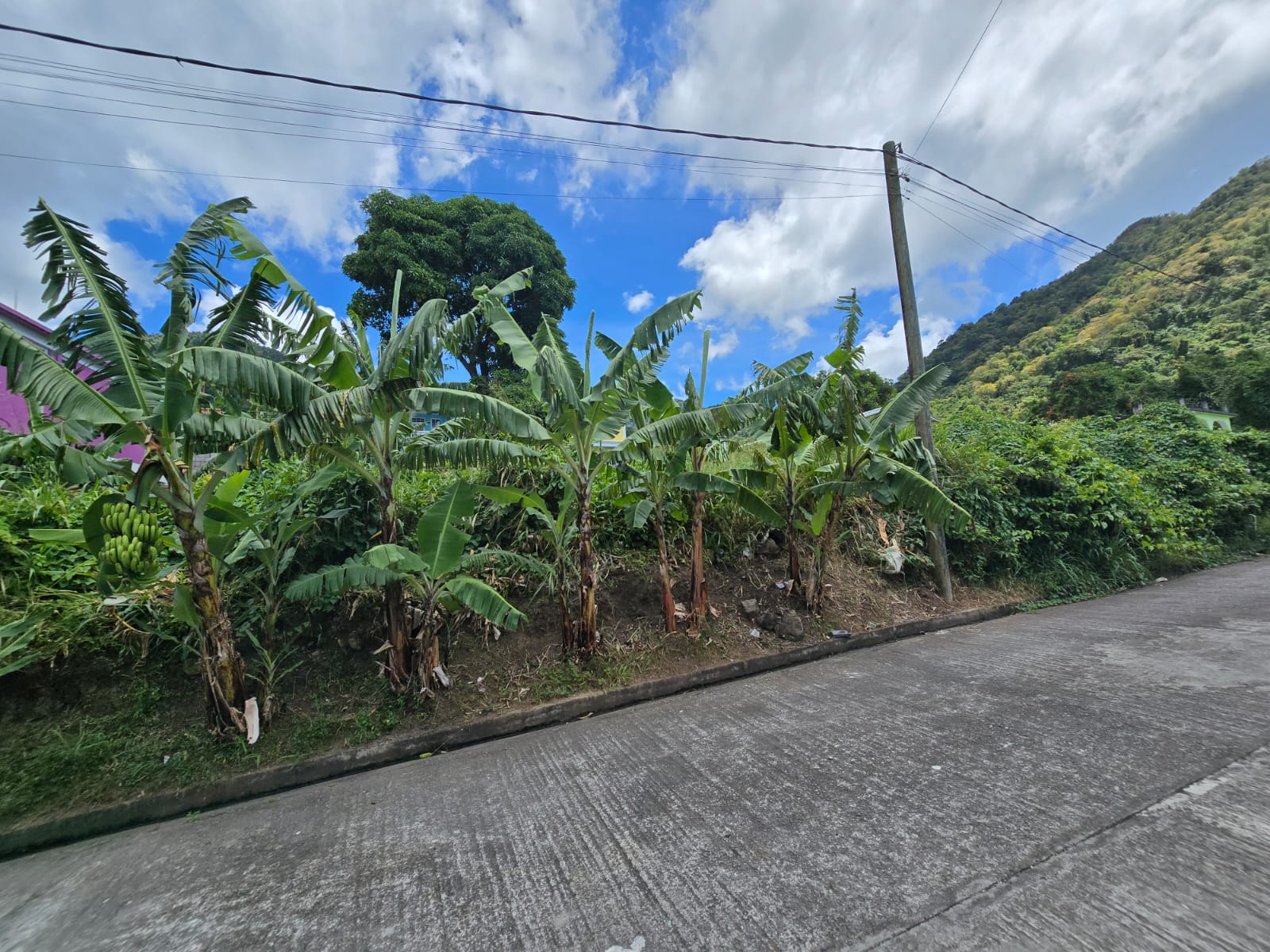3,129sqft residential lot in Union Estate Pointe Mitchel, Dominica – EC$50,000 /US$18,727