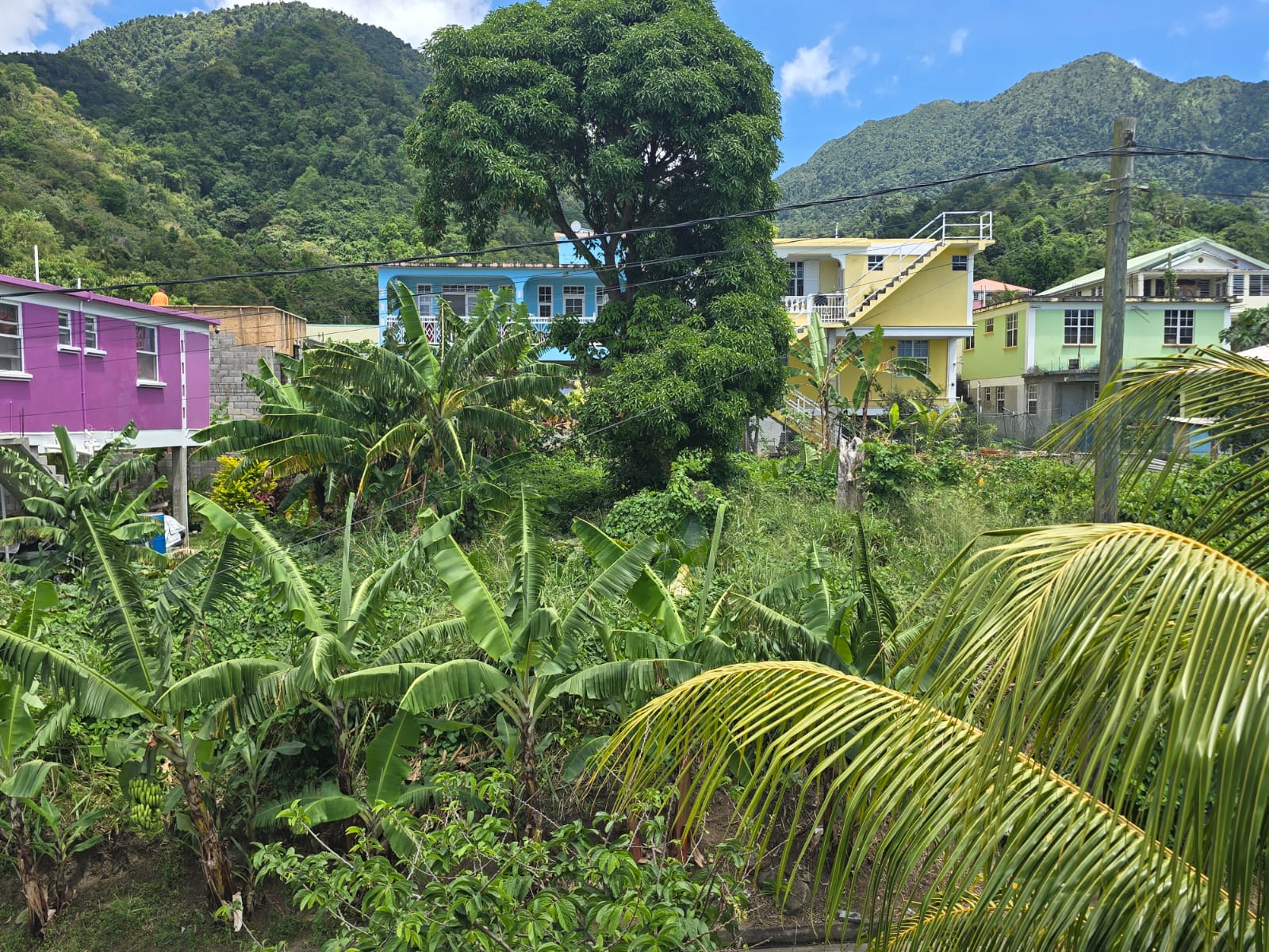 3,129sqft residential lot in Union Estate Pointe Mitchel, Dominica – EC$50,000 /US$18,727