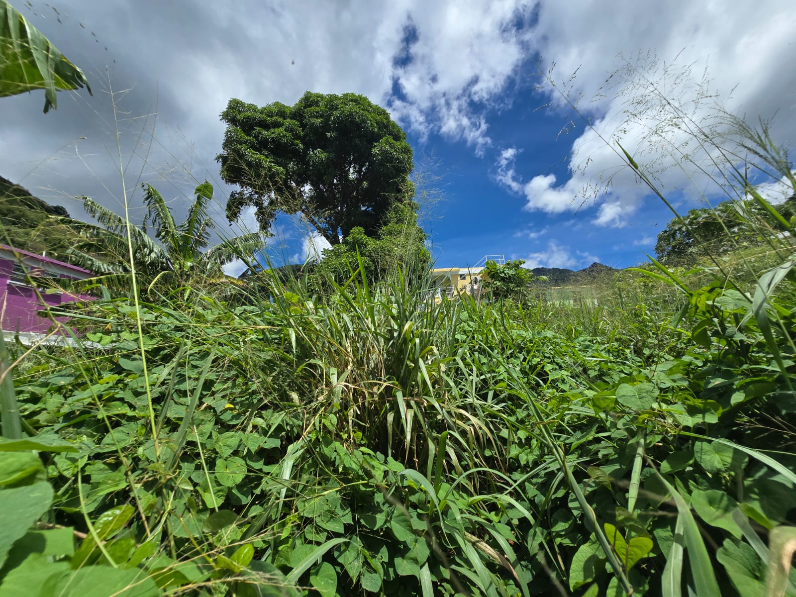 3,129sqft residential lot in Union Estate Pointe Mitchel, Dominica – EC$50,000 /US$18,727