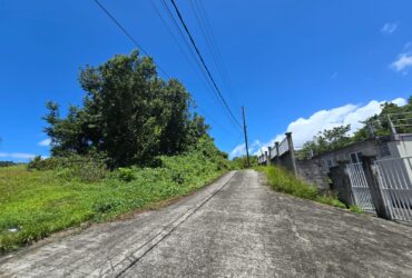9,643 sqft residential lot in Picard Portsmouth, Dominica – EC$241,075 / US$90,290