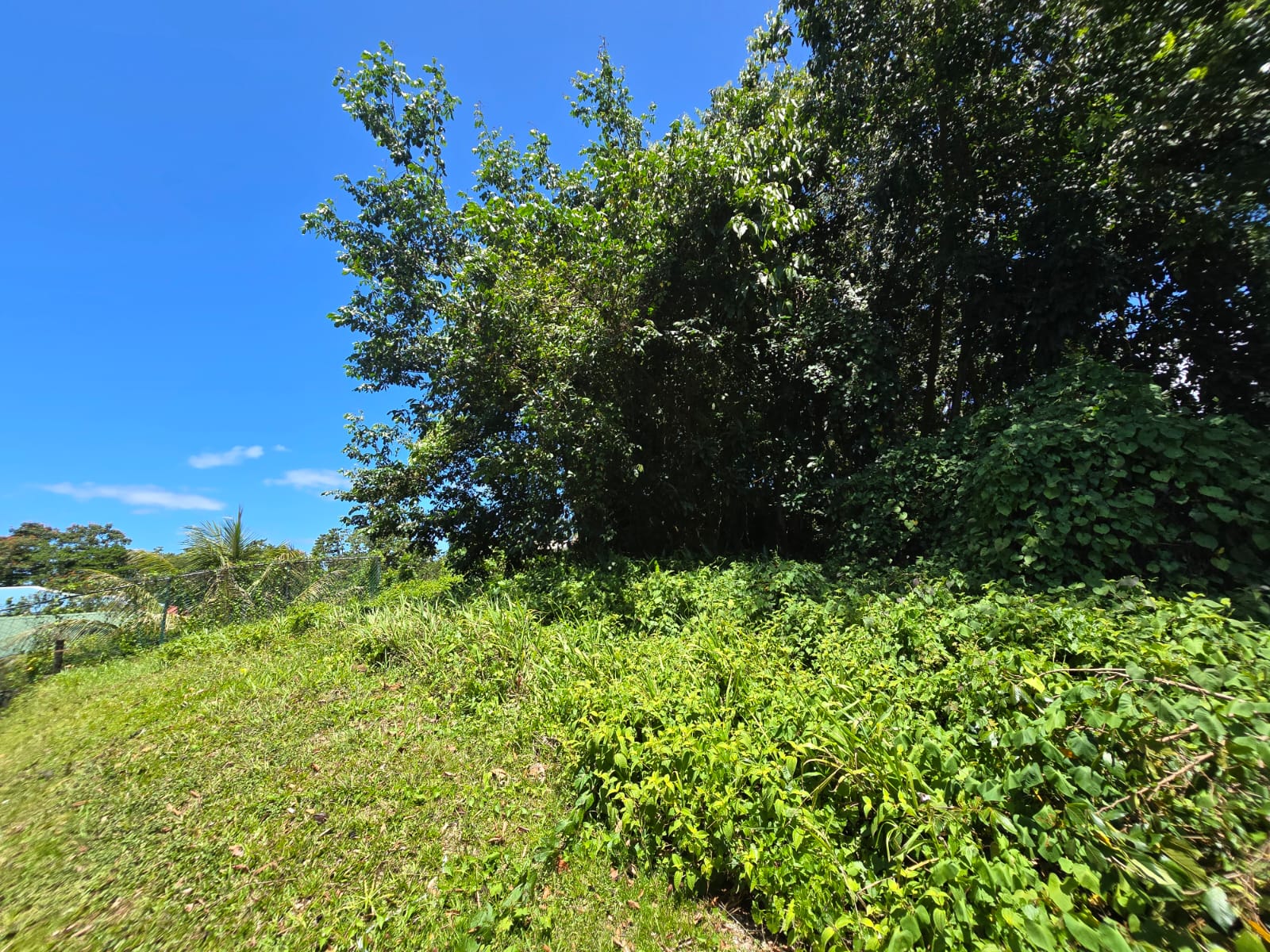 9,643 sqft residential lot in Picard Portsmouth, Dominica – EC$241,075 / US$90,290