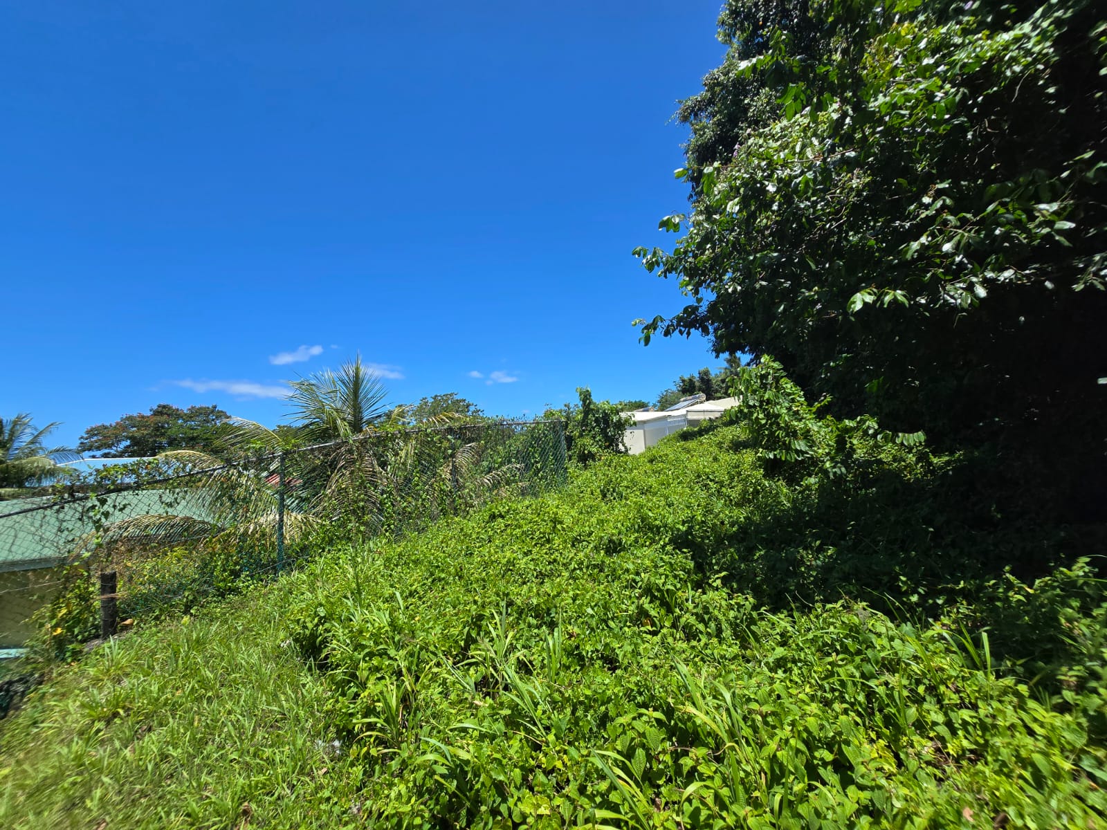 9,643 sqft residential lot in Picard Portsmouth, Dominica – EC$241,075 / US$90,290