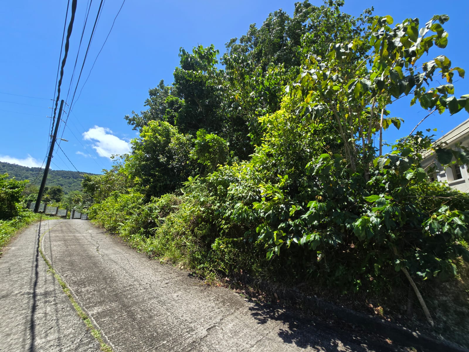 9,643 sqft residential lot in Picard Portsmouth, Dominica – EC$241,075 / US$90,290