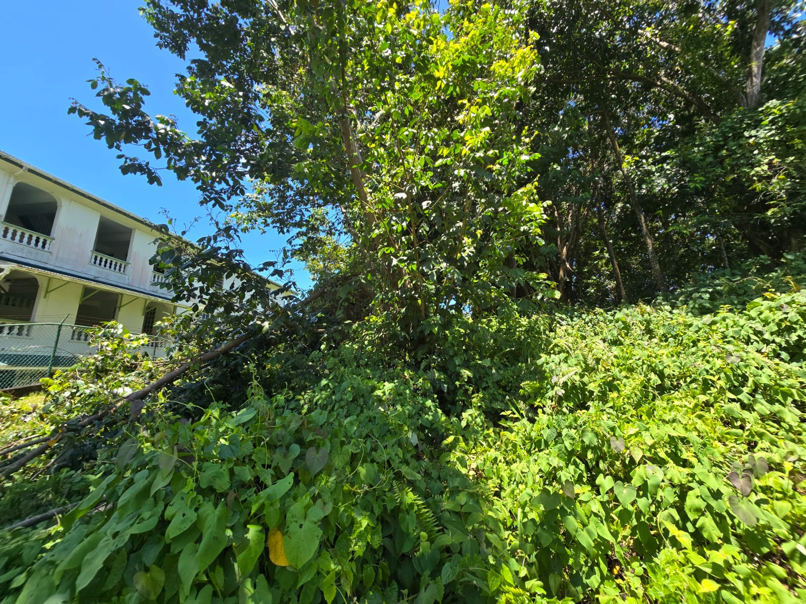 9,643 sqft residential lot in Picard Portsmouth, Dominica – EC$241,075 / US$90,290