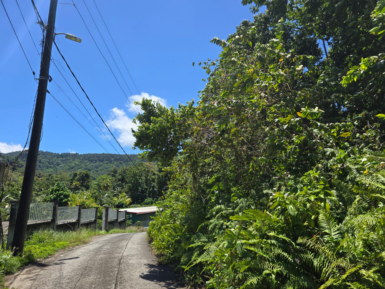 9,643 sqft residential lot in Picard Portsmouth, Dominica – EC$241,075 / US$90,290