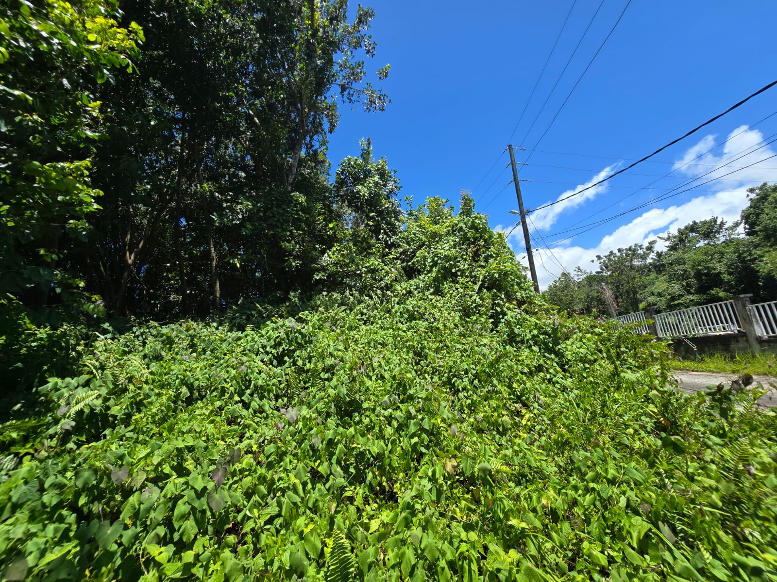 9,643 sqft residential lot in Picard Portsmouth, Dominica – EC$241,075 / US$90,290