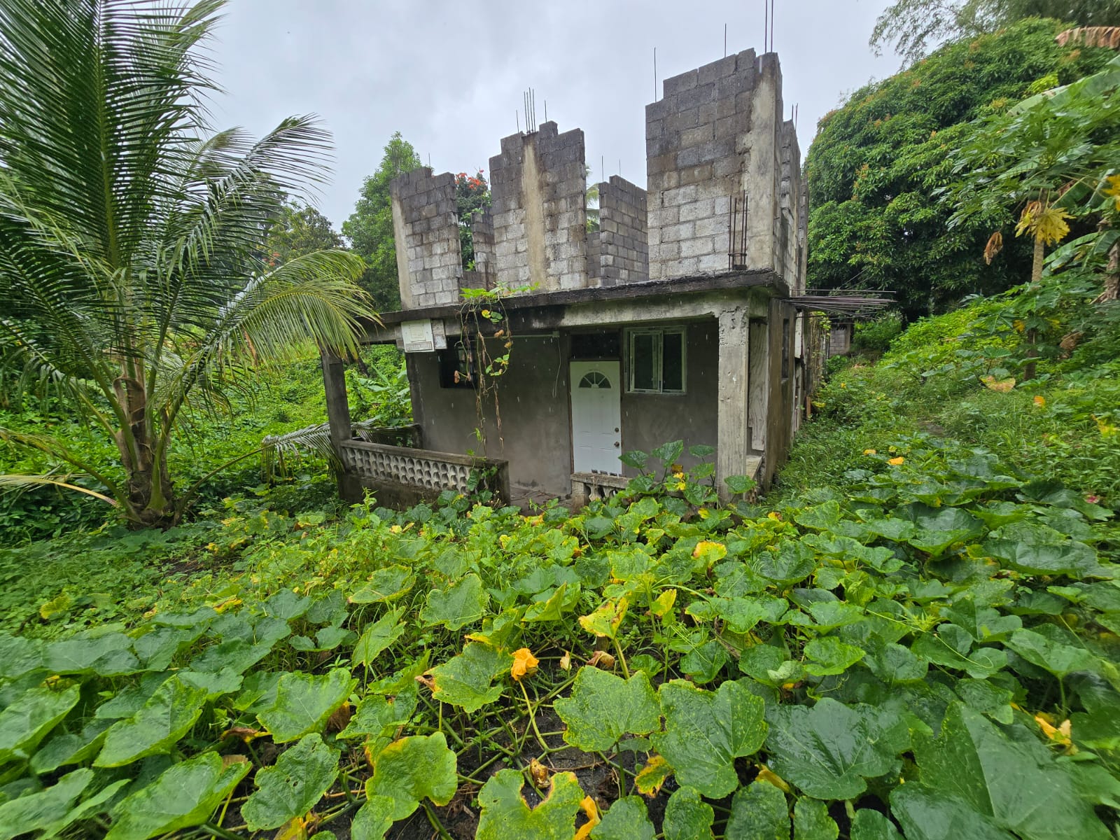 16,439sqft land for sale in Layou Park, Dominica -EC$150,000 / US$56,180